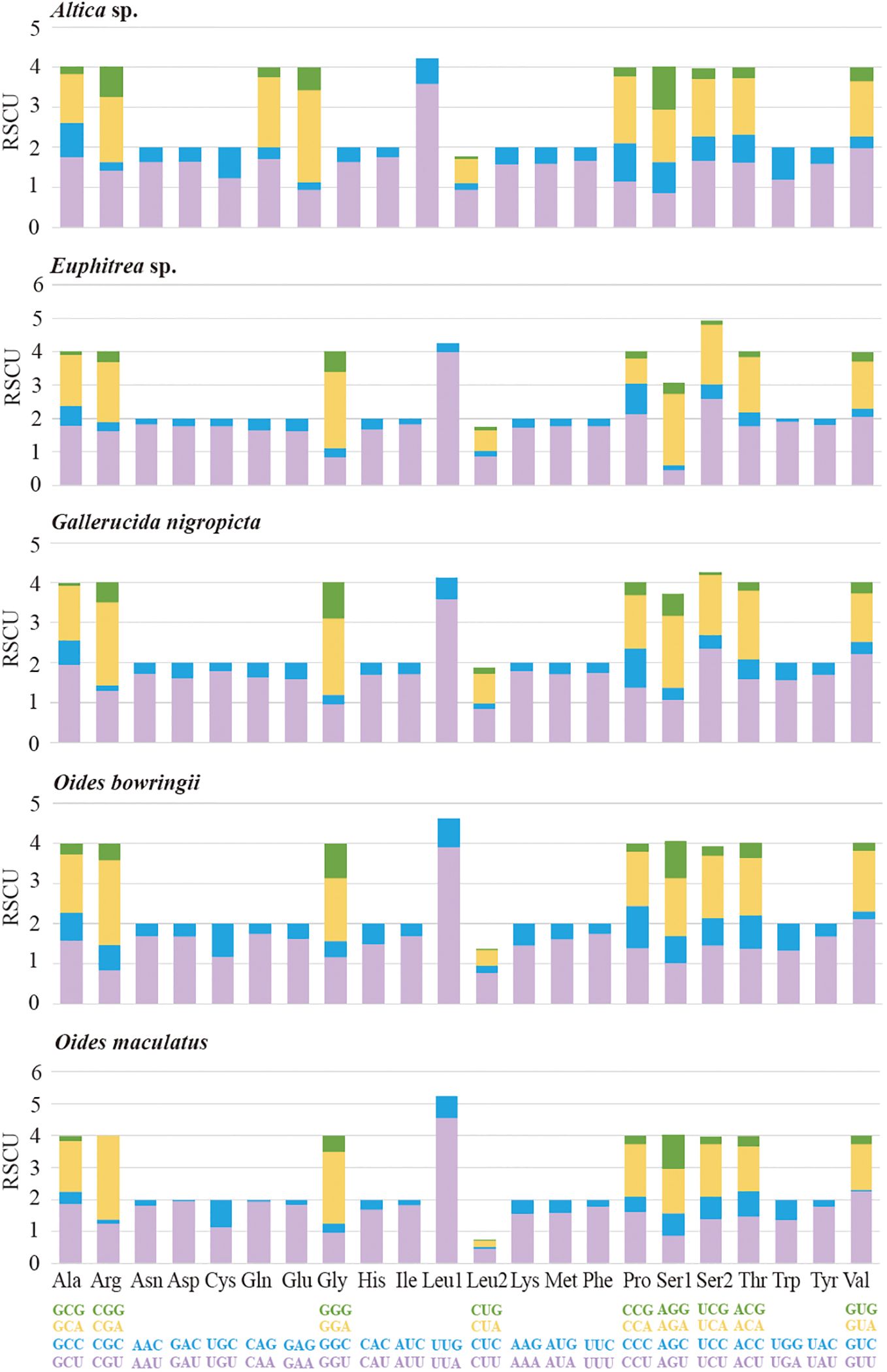 Five bar graphs showing relative synonymous codon usage (RSCU) across several species. Each species is represented by a series of vertical bars on the y-axis indicating RSCU values, with varying color-coded segments reflecting distinct amino acids. The x-axis denotes specific codon families, with amino acids located at the bottom.