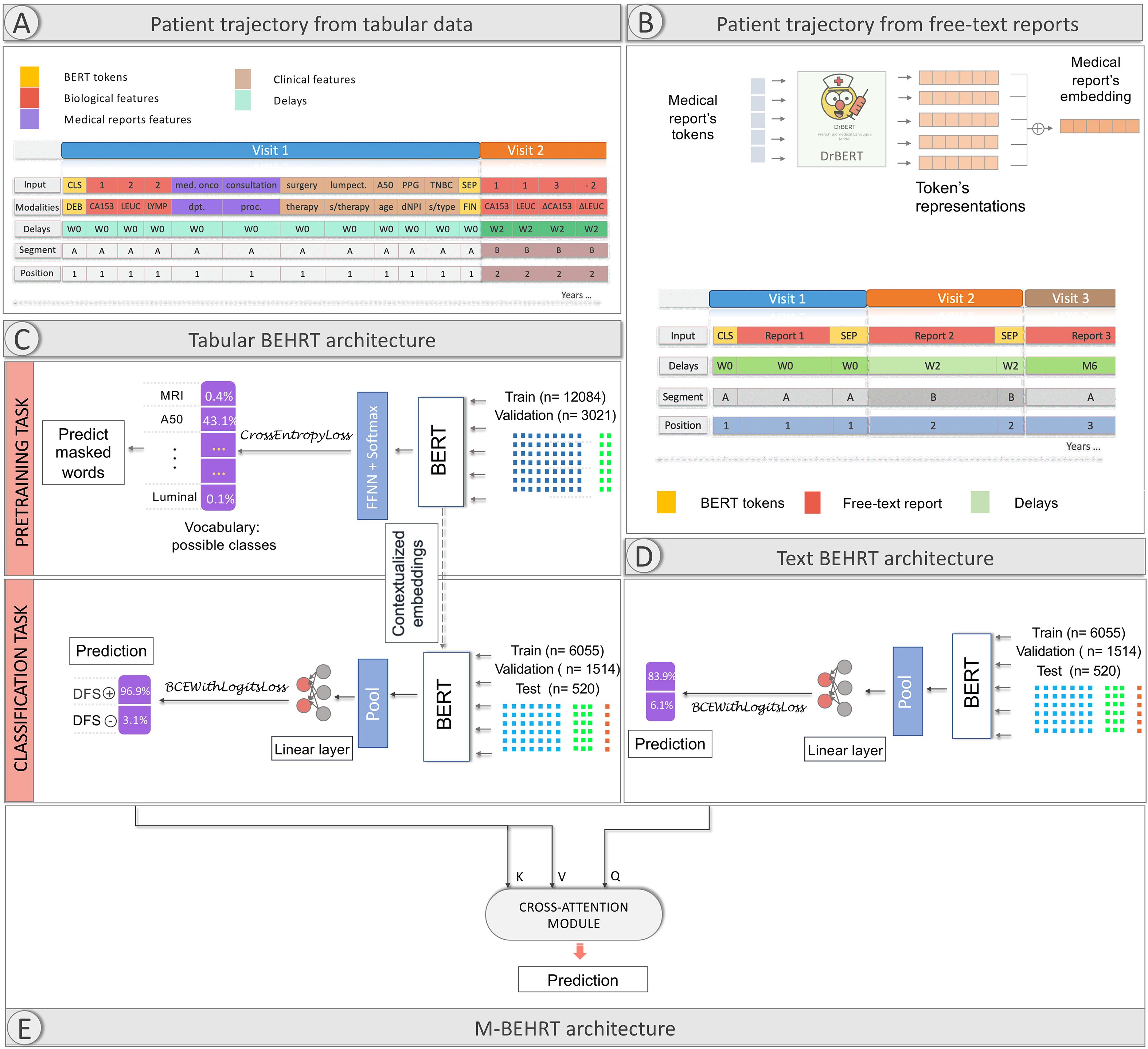 Diagram illustrating the M-BEHRT architecture across five panels. Panel A shows one mock patient trajectory obtained from tabular data. Each visit is described by 5 lines of tokens: inputs, modalities, delays, segment and position. Panel B depicts one mock patient trajectory obtained from free-text reports similarly as in Panel A, but here input tokens alternate between CLS and medical reports embeddings which are obtained by summing DrBERT tokens. Panel C details the Tabular BEHRT architecture, featuring pretraining by masked word prediction using a cross-entropy loss, and classification achieved with BCE with logits loss. Panel D presents the Text BEHRT architecture for classification, which also uses BCE with logits loss. Panel E presents the M-BEHRT architecture, which integrates Tabular BEHRT and Text BEHRT with a cross-attention module for prediction.