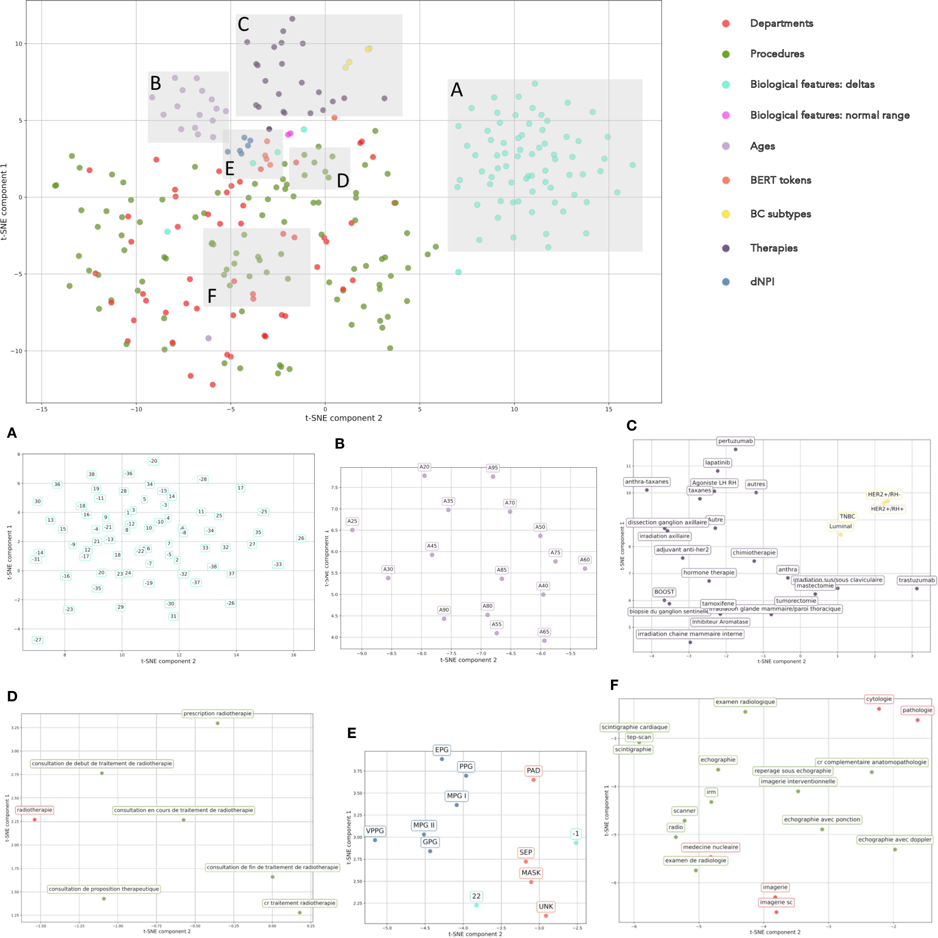 Scatter plot showing a t-SNE visualization of token embeddings, colored by categories (departments, procedures, biological features: deltas, biological features: normal range, age, BERT tokens, BC subtypes, therapies, dNPI). Points of the same color tend to cluster together. Panels A-F show zoomed views of each cluster with data points labeled by the actual value of the token, allowing to see in more details examples of tokens that are close together.