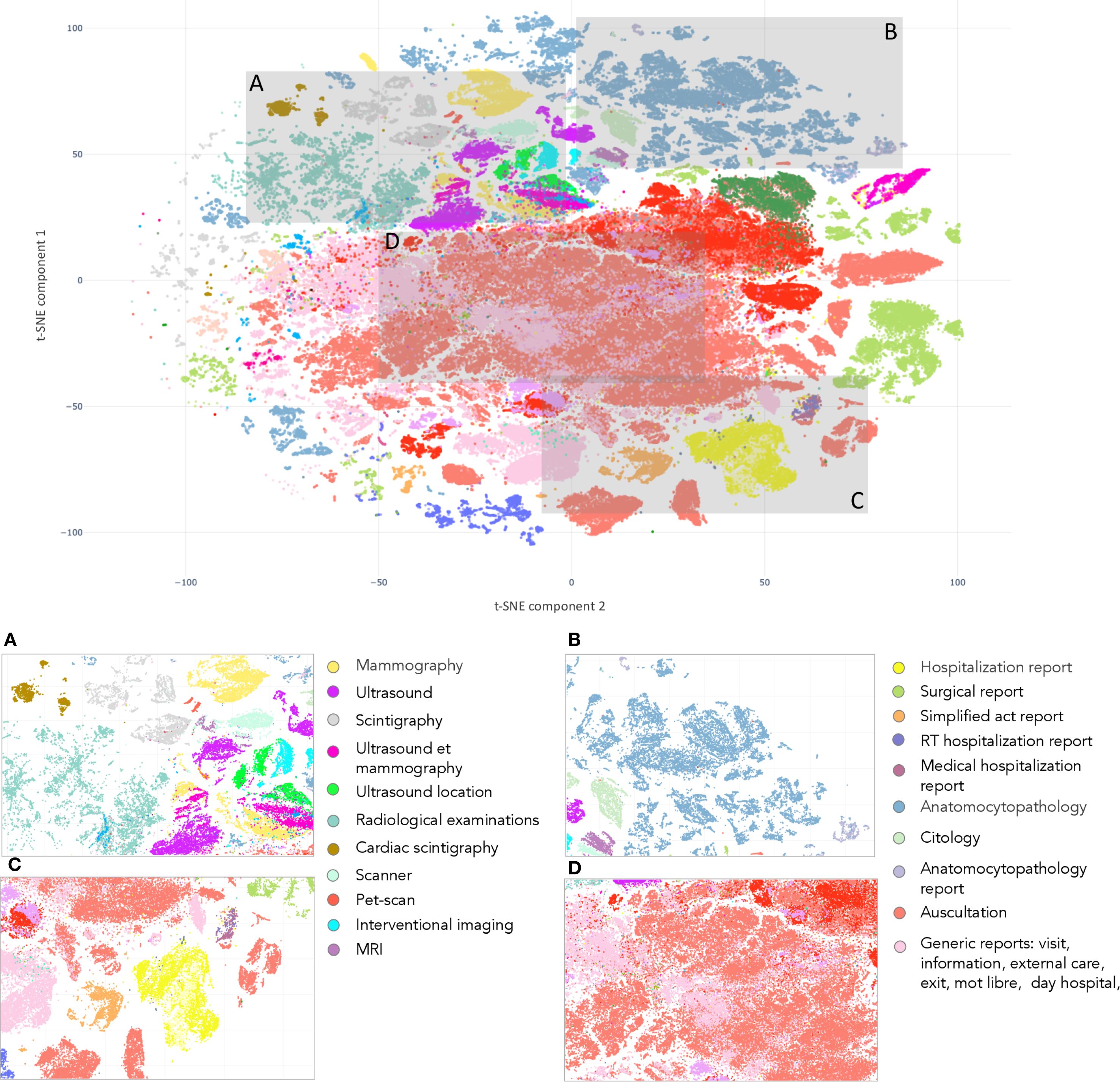 Scatter plot showing a t-SNE visualization of medical reports embeddings, colored by report type (e.g. mammography, ultrasound, scintigraphy, hospitalization, surgery, auscultation, citology, MRI, etc.). Points of the same color tend to cluster together. 4 rectangles numbered A to D are zoomed-in parts of the image, confirming that points of the same color tend to cluster together.