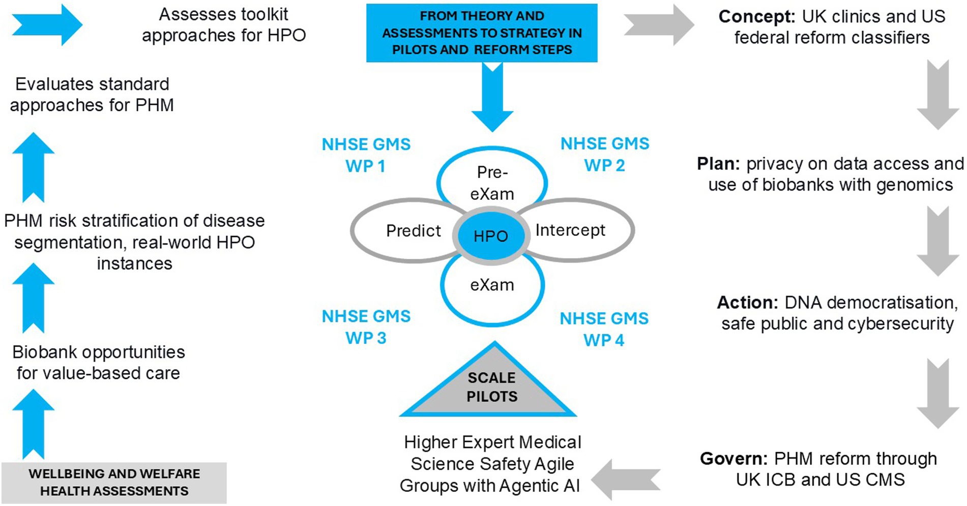 Flowchart illustrating the strategy for health predictability optimization (HPO). It starts with assessments of HPO toolkit approaches and evaluates standard approaches for population health management (PHM). Key steps include biobank opportunities, risk stratification, and strategic interventions in pilots and reforms. Concepts include privacy, DNA democratization, cybersecurity, and PHM reform through UK and US entities. It involves different work packages and expert medical science safety groups.