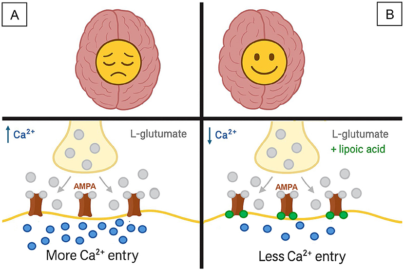 Diagram illustrating synaptic transmission. L-glutamate is released from the presynaptic neuron and binds to AMPAR on the postsynaptic neuron, allowing Na+ influx. Ca2+ ions are present in the synapse. An inset shows four steps of receptor function, labeled one through four.
