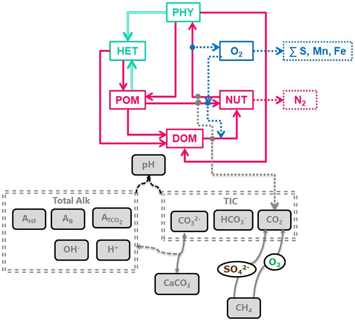 Complex diagram illustrating interactions between various components: pH, Total Alk, and TIC interact with the listed components. Substances such as O2, N2, and CO2, S, Mn, Fe, and ions (e.g., CO3^2-, HCO3^-), CH4, and reactions involving CaCO3 and SO4^2- are depicted.