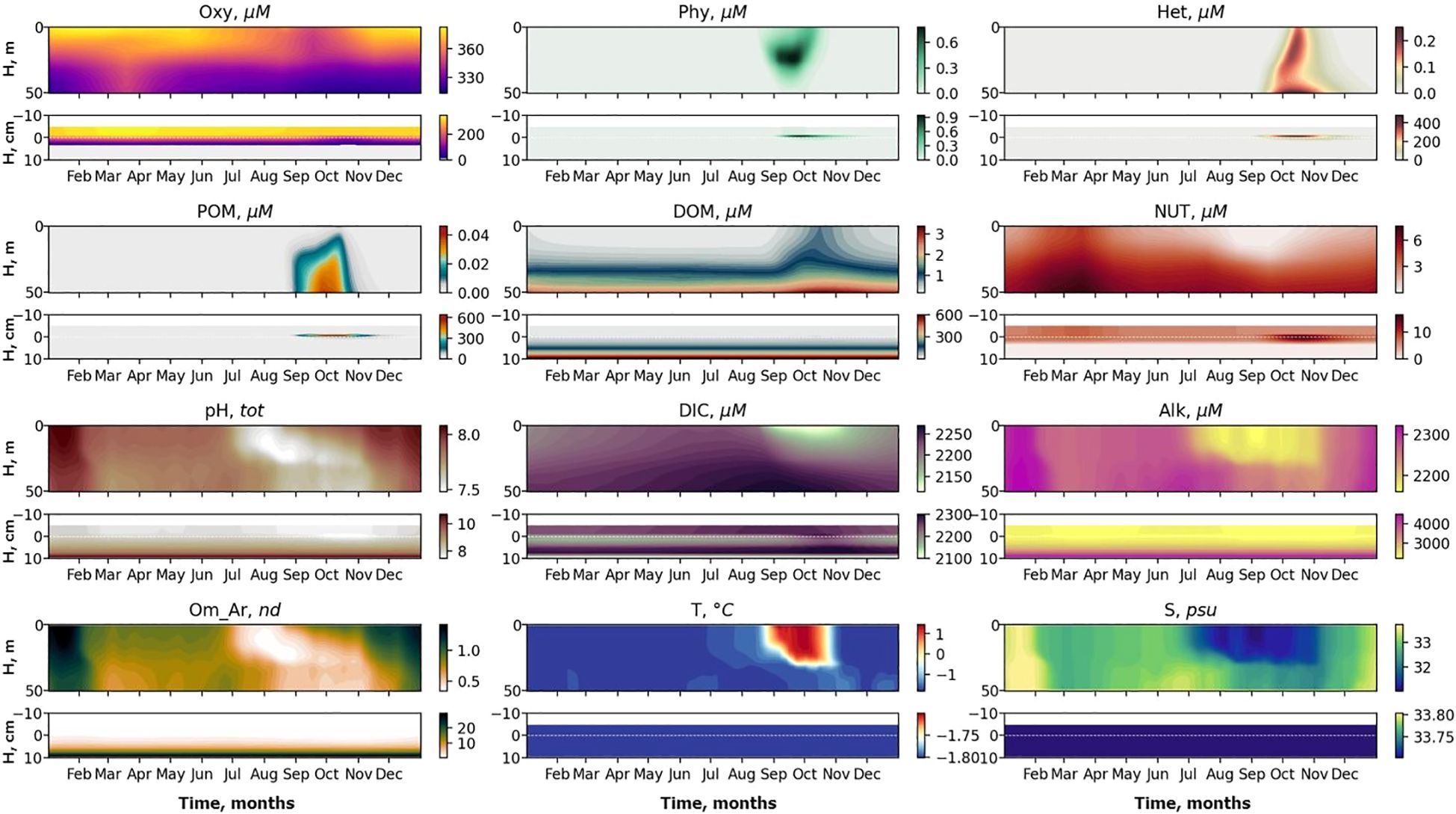 Twelve contour plots displaying monthly variations of oceanographic parameters. Each row features two plots: one for surface and one for the sediment-water interface. Parameters include oxygen, phytoplankton, heterotrophs, particulate organic matter, dissolved organic matter, nutrients, pH, dissolved inorganic carbon, alkalinity, aragonite saturation, temperature, and salinity, measured in respective units. Each plot includes a color bar indicating concentration levels.