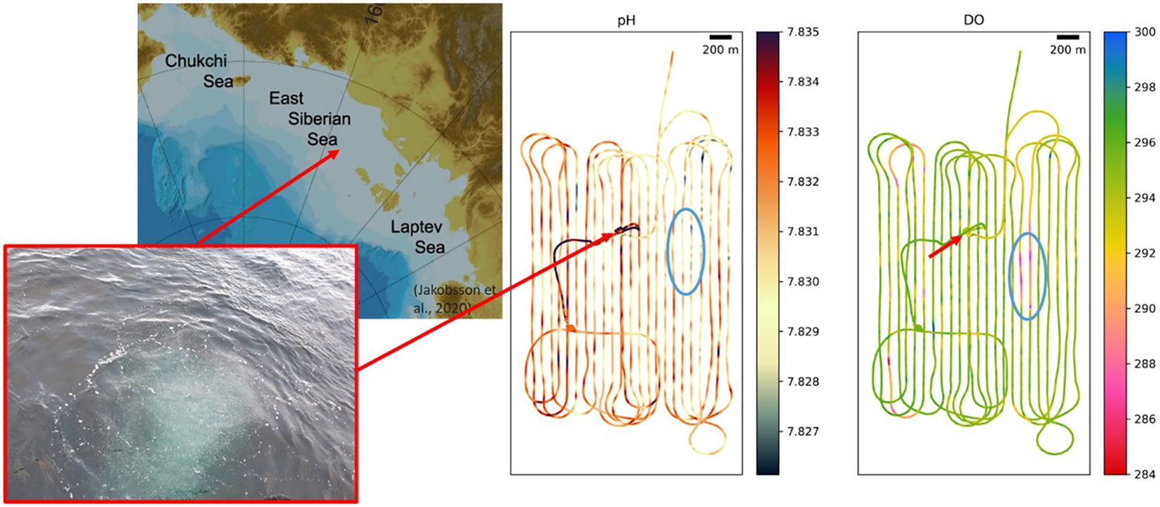 Map showing the East Siberian Sea with a red arrow pointing to a water surface image. Adjacent pH and dissolved oxygen (DO) contour plots illustrate variations with loops, marked by arrows and a blue ellipse. Color scales and a 200-meter scale bar provide context.