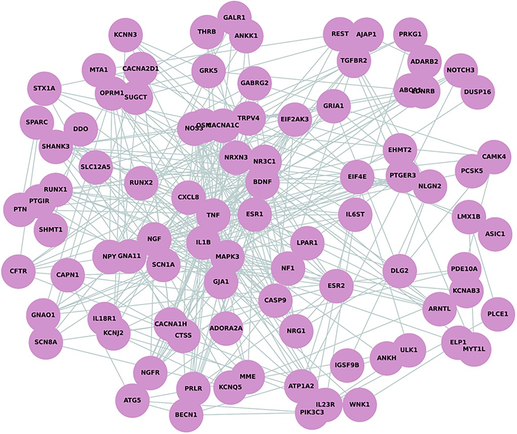 Network diagram displaying gene-gene interactions, with each node representing a gene labeled by its symbol and edges indicating interactions or associations. Nodes are uniformly styled in purple, and the network is densely connected, suggesting a complex interaction landscape among the listed genes