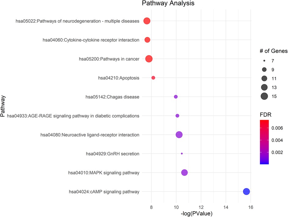 Dot plot summarizing pathway enrichment analysis, with pathways plotted by significance (negative log P-value) on the x-axis. Dot size indicates number of associated genes, and color reflects false discovery rate from red (higher) to blue (lower). Most significant pathway is cAMP signaling, while the top pathways by gene count include neuroactive ligand-receptor interaction, cancer, and cytokine-cytokine receptor interaction