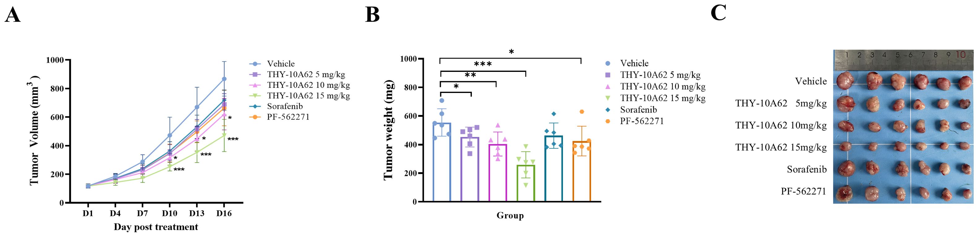 Graph and images showing tumor response to treatments. Panel A: Line graph of tumor volume over days post-treatment for various groups. Panel B: Bar graph of tumor weight, with statistical significance indicated. Panel C: Photo of excised tumors with a ruler for scale, labeled by treatment group: Vehicle, THY-10A62 at three dosages, Sorafenib, and PF-562271.