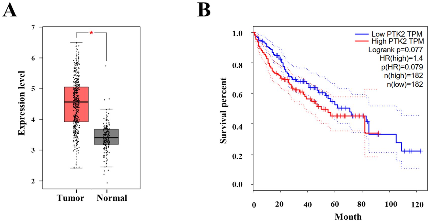Panel A shows a box plot comparing expression levels of a gene in tumor and normal tissues, with tumors showing higher levels. Panel B displays a Kaplan-Meier survival curve comparing low and high PTK2 TPM levels, with a log-rank p-value of 0.077 and hazard ratio of 1.4.