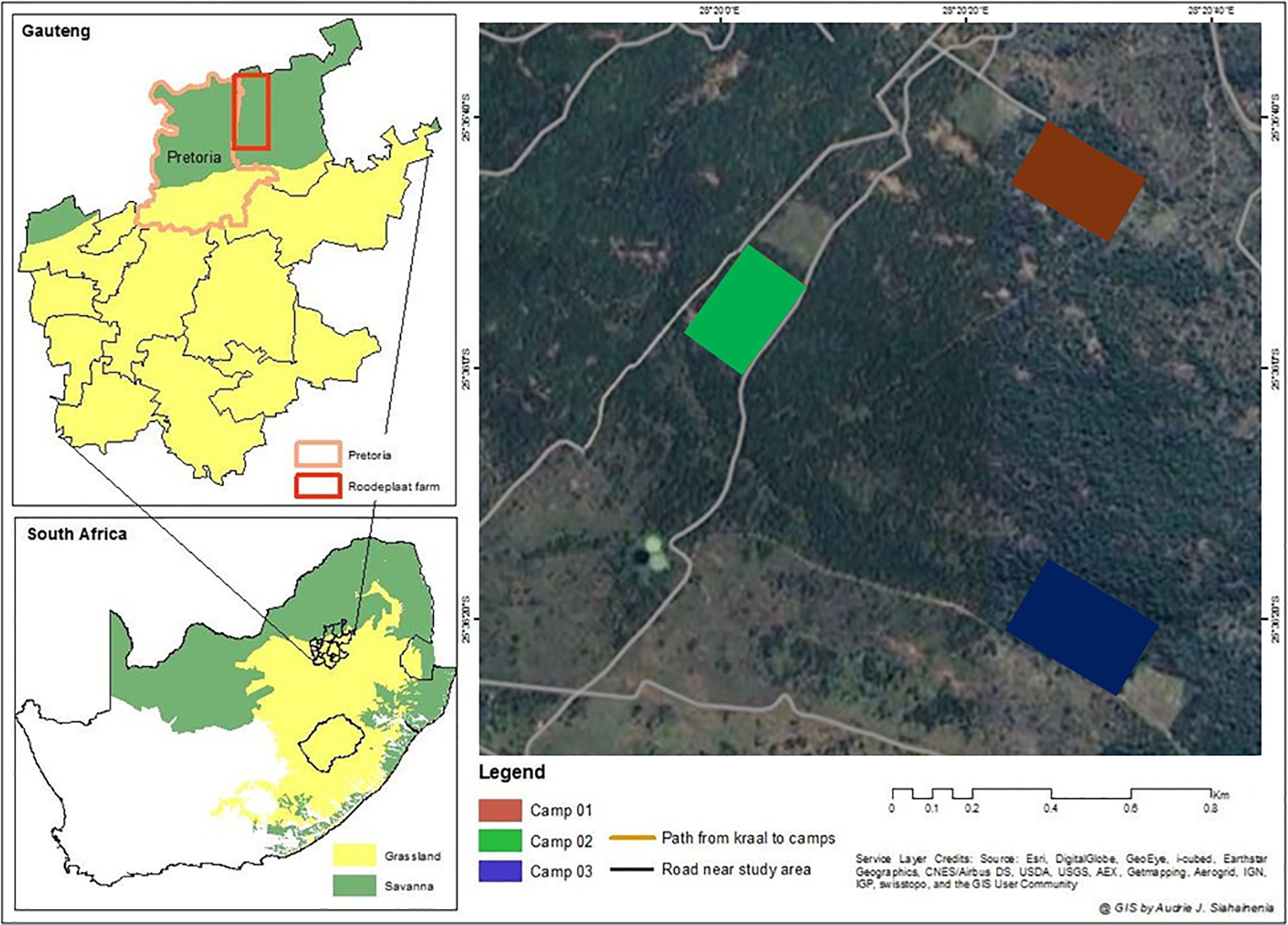 A multi-panel figure showing sampling locations in South Africa. The top left map highlights South Africa’s provinces, with a zoomed inset pointing to Roodeplaat in Gauteng. A detailed satellite image on the right shows rectangular sampling blocks outlined in red within a forested area, illustrating the sampling design. A text box labeled “Sampling blocks” notes that further design details are shown in figure 2.