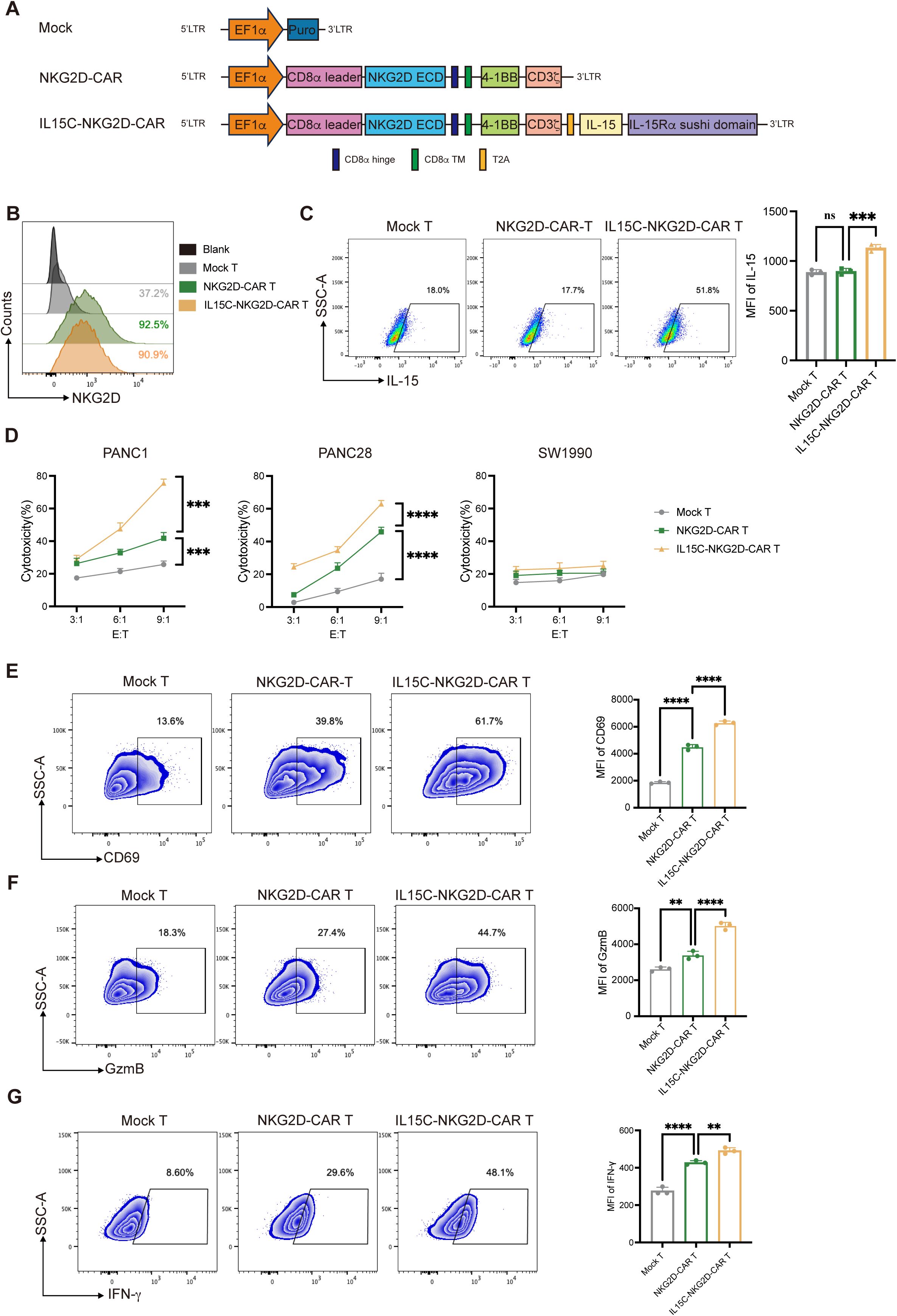Diagram showing the structure and results of NKG2D-CAR and IL15C-NKG2D-CAR T cells. Panel A illustrates the gene constructs. Panel B shows flow cytometry for NKG2D expression, with IL15C-NKG2D-CAR T cells showing the highest expression. Panel C depicts IL-15 expression, with IL15C-NKG2D-CAR T cells showing significant increase. Panel D shows cytotoxicity assays against PANC1, PANC28, and SW1990 cell lines, with IL15C-NKG2D-CAR T cells displaying higher efficacy. Panels E to G show increased CD69, Granzyme B, and IFN-γ expression in IL15C-NKG2D-CAR T cells, supported by significant statistics.