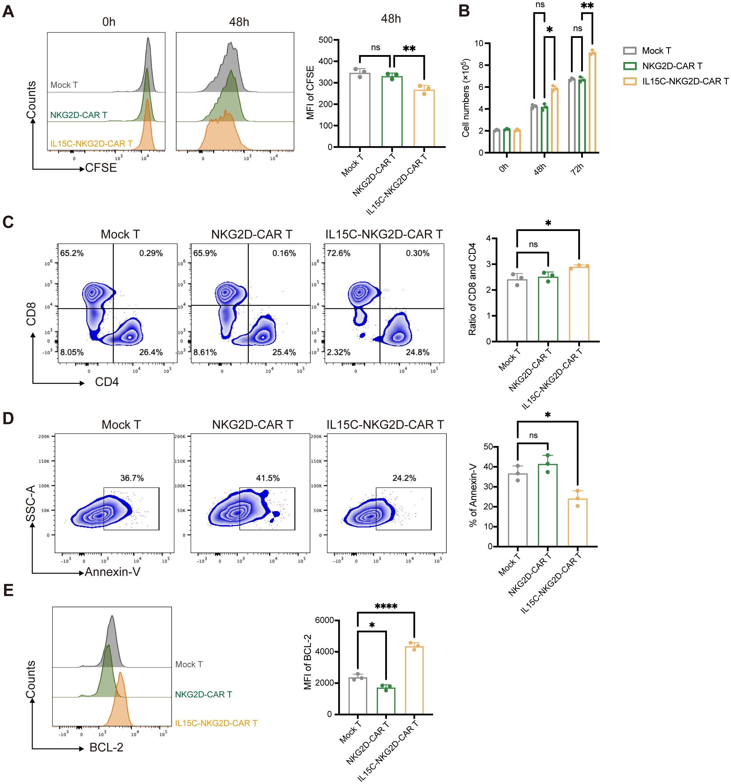 Flow cytometry analysis of T cells: Panel A shows CFSE staining over time, highlighting differences among Mock T, NKG2D-CAR T, and IL15C-NKG2D-CAR T cells. Panel B displays cell count comparisons at multiple time points. Panel C illustrates CD8 and CD4 expression ratios. Panel D assesses Annexin-V levels for apoptosis detection. Panel E compares BCL-2 expression, with statistical significance marked by asterisks.