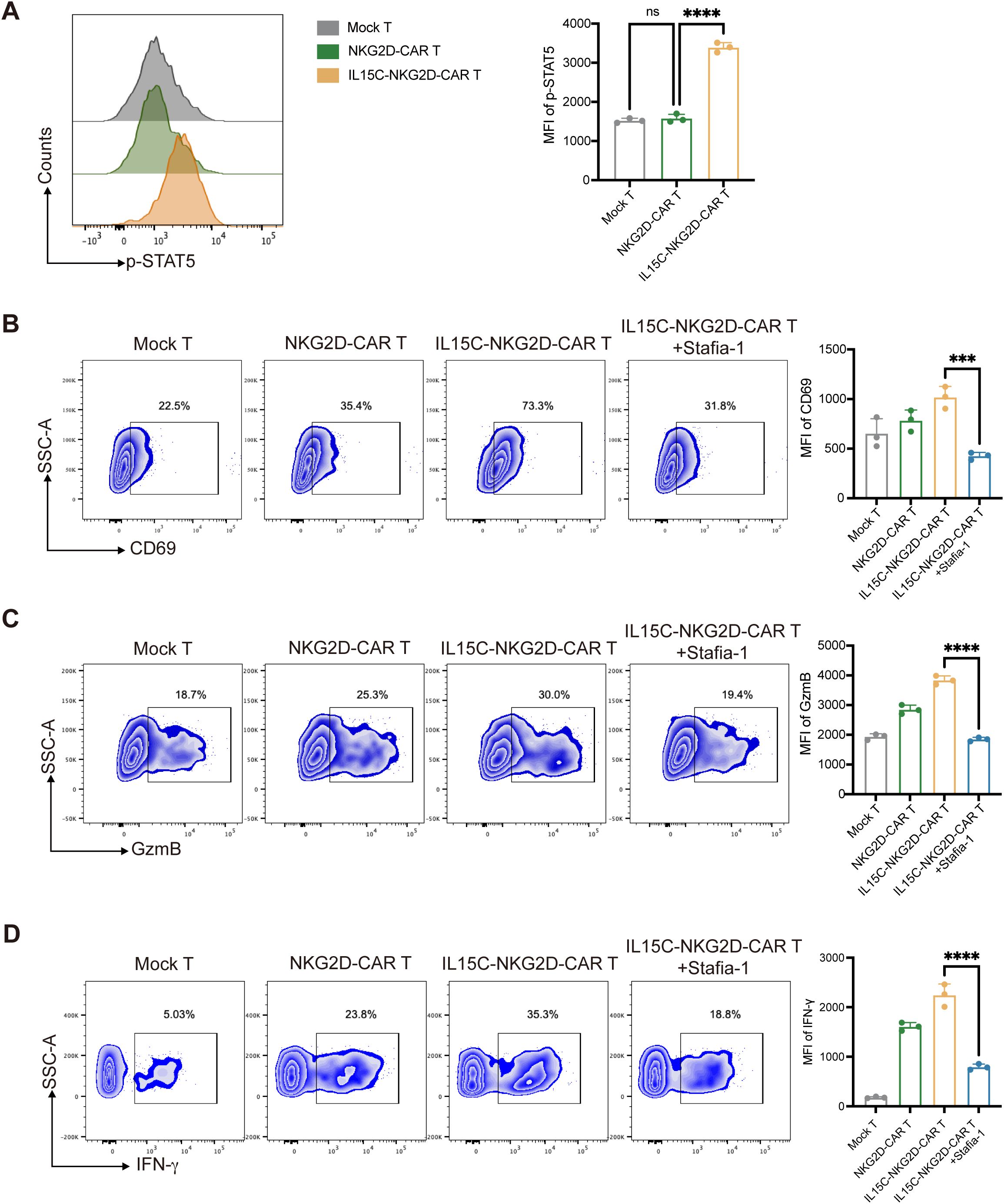 Flow cytometry analysis of T cells, divided into panels A, B, C, and D. Panel A shows p-STAT5 levels with histogram and bar graph, highlighting increased levels in IL15C-NKG2D-CAR T cells compared to others. Panels B, C, and D display contour plots and bar graphs for CD69, GzmB, and IFN-γ expression, respectively. The IL15C-NKG2D-CAR T group displays generally higher expression than Mock T and NKG2D-CAR T groups, with statistical significance denoted by asterisks. Presence of Stafia-1 affects the expression levels across different panels.