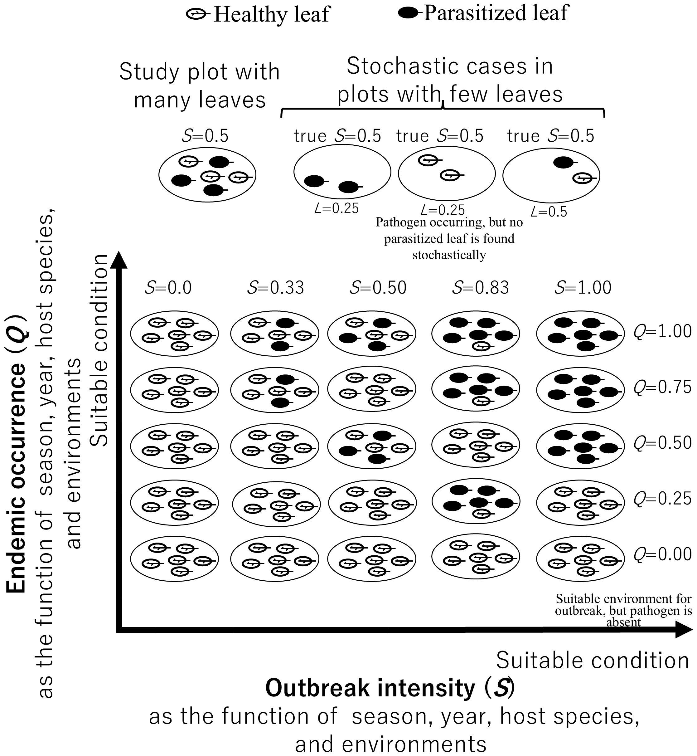 Diagram showing the relationship between endemic occurrence (Q) and outbreak intensity (S) with suitable conditions. Healthy leaves are depicted as open circles, and parasitized leaves as filled circles. The top section illustrates a study plot with many leaves and stochastic cases in plots with fewer leaves. The bottom section shows a grid of various combinations of S and Q levels, ranging from zero to one, with corresponding leaf arrangements. The chart visually explains the consequences of pathogen occurrence and outbreak intensity.