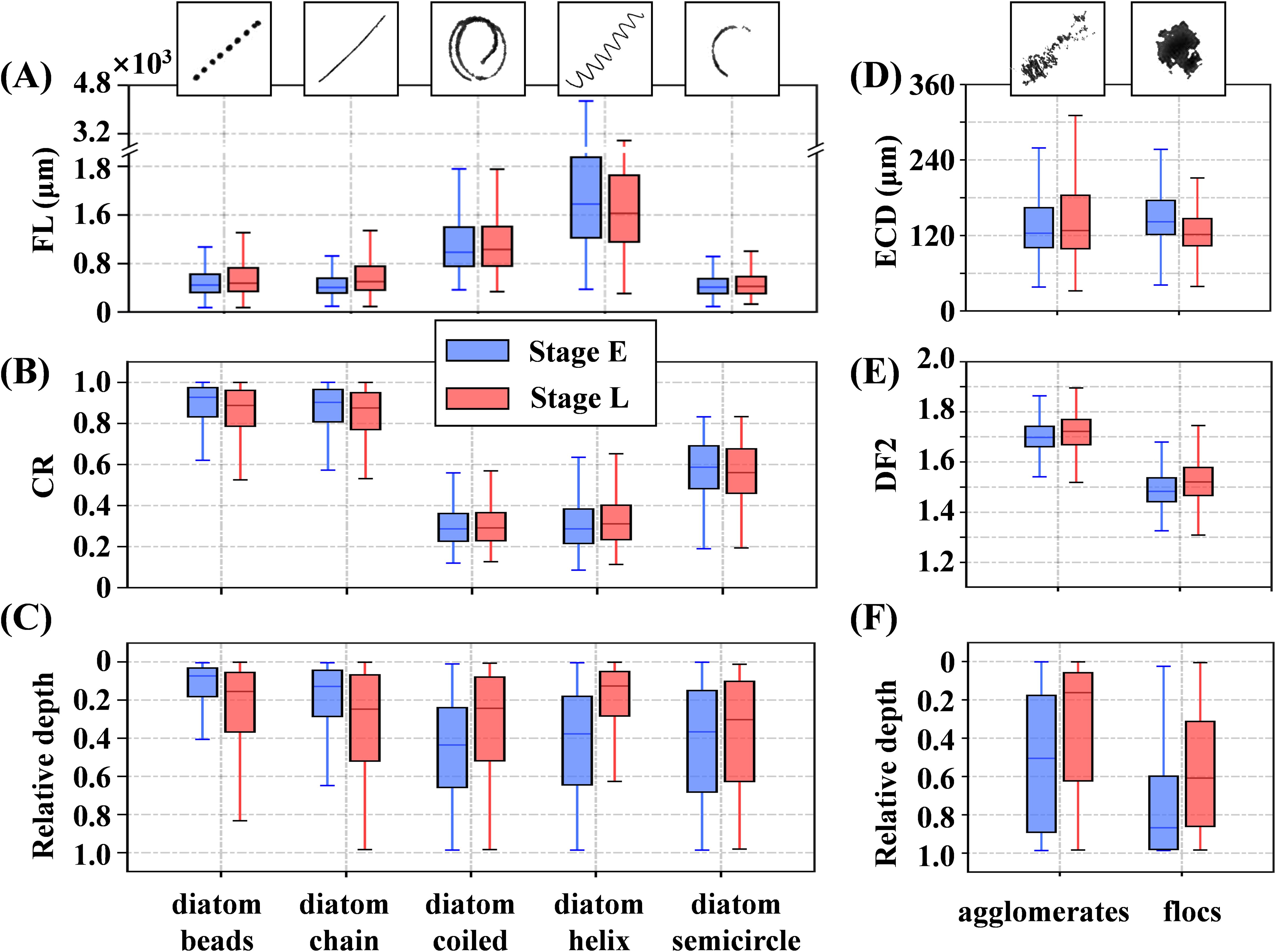 Frontiers | Morphology and distribution of suspended