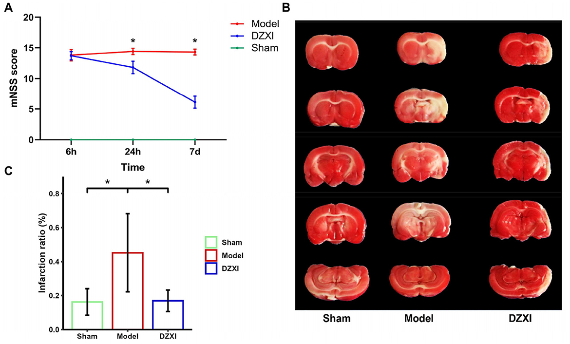 Graph A shows motor neurological severity score (mNSS) over time for sham, model, and DZXI groups. Images B depict brain sections for each group after various treatments. Graph C shows the infarction ratio percentage for the same groups, indicating significant differences marked by asterisks.