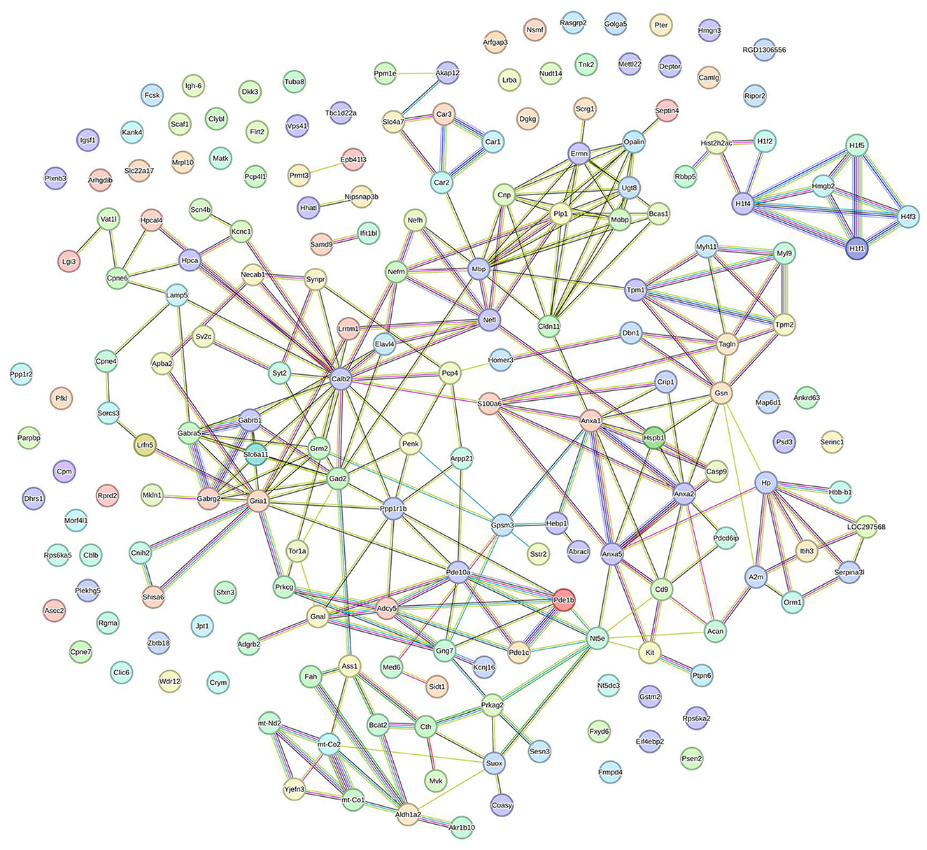 Network diagram showing interconnected nodes representing various entities or proteins. Nodes are labeled with identifiers, and connections are color-coded, indicating relationships or interactions among them. The diagram illustrates a complex web of interactions, suggesting a biological or computational network.