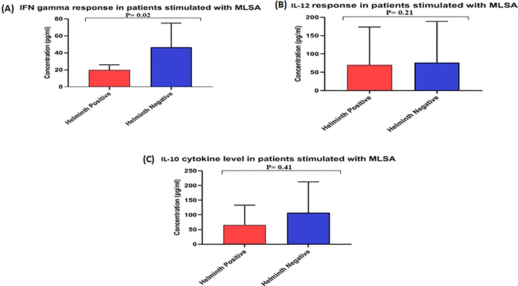 Three bar graphs compare immune responses in helminth-positive and helminth-negative patients stimulated with MLSA. (A) IFN gamma levels show higher concentration in helminth-negative. (B) IL-12 levels are similar between groups. (C) IL-10 levels are slightly higher in helminth-negative. Statistical significance is indicated with p-values.