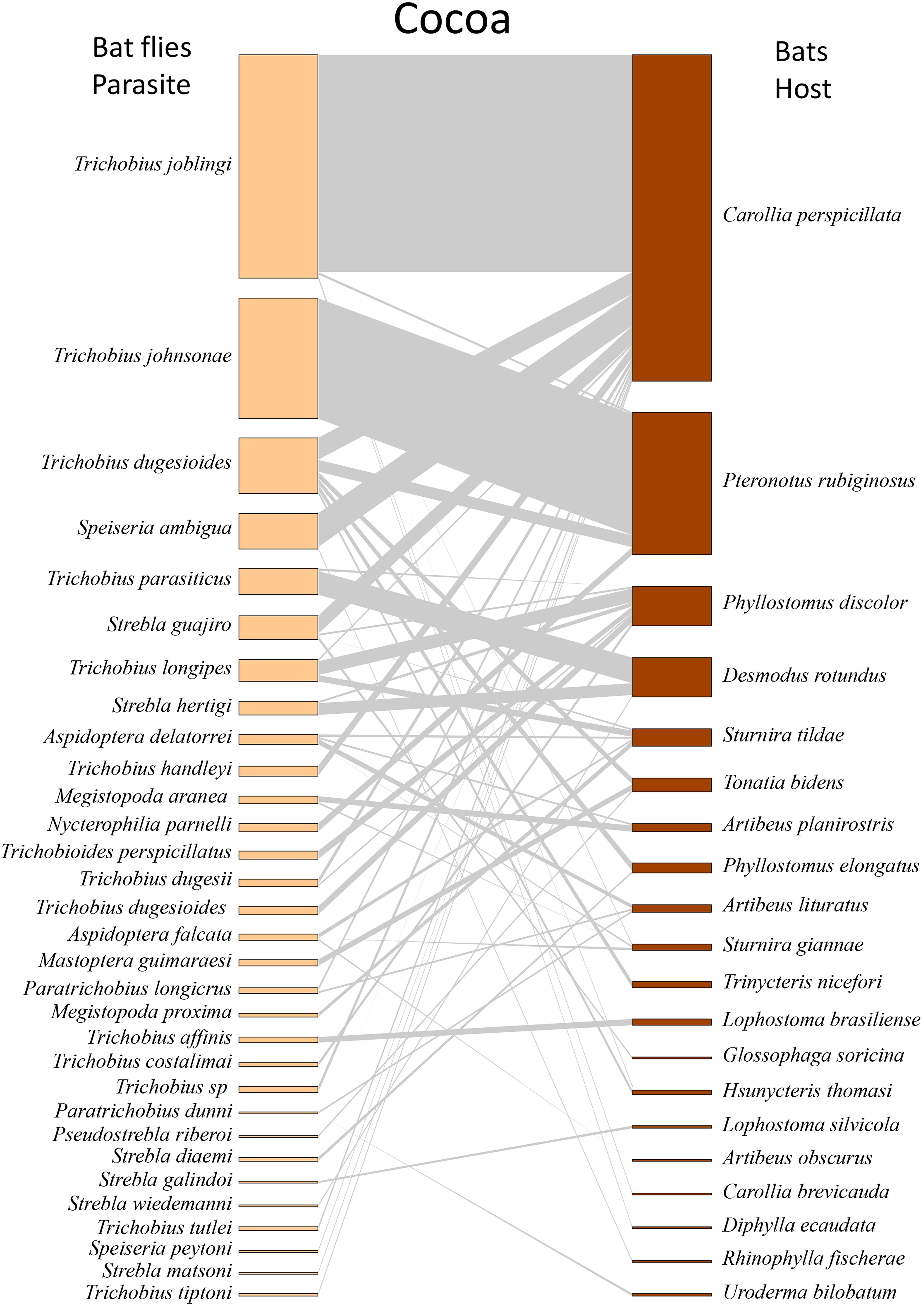 Host-parasite interaction network between bat flies (Diptera: Streblidae/Nycteribiidae) and their chiropteran hosts (Mammalia: Chiroptera) in a cocoa agroecosystem. The left column lists bat fly parasites, and the right column shows their corresponding bat hosts. Lines connecting the two lists indicate parasite-host relationships. The lines vary in thickness, showing the strength of associations between specific bat flies and bats. Orange bars represent bat flies, and brown bars represent bats, visualizing specificity and interactions.