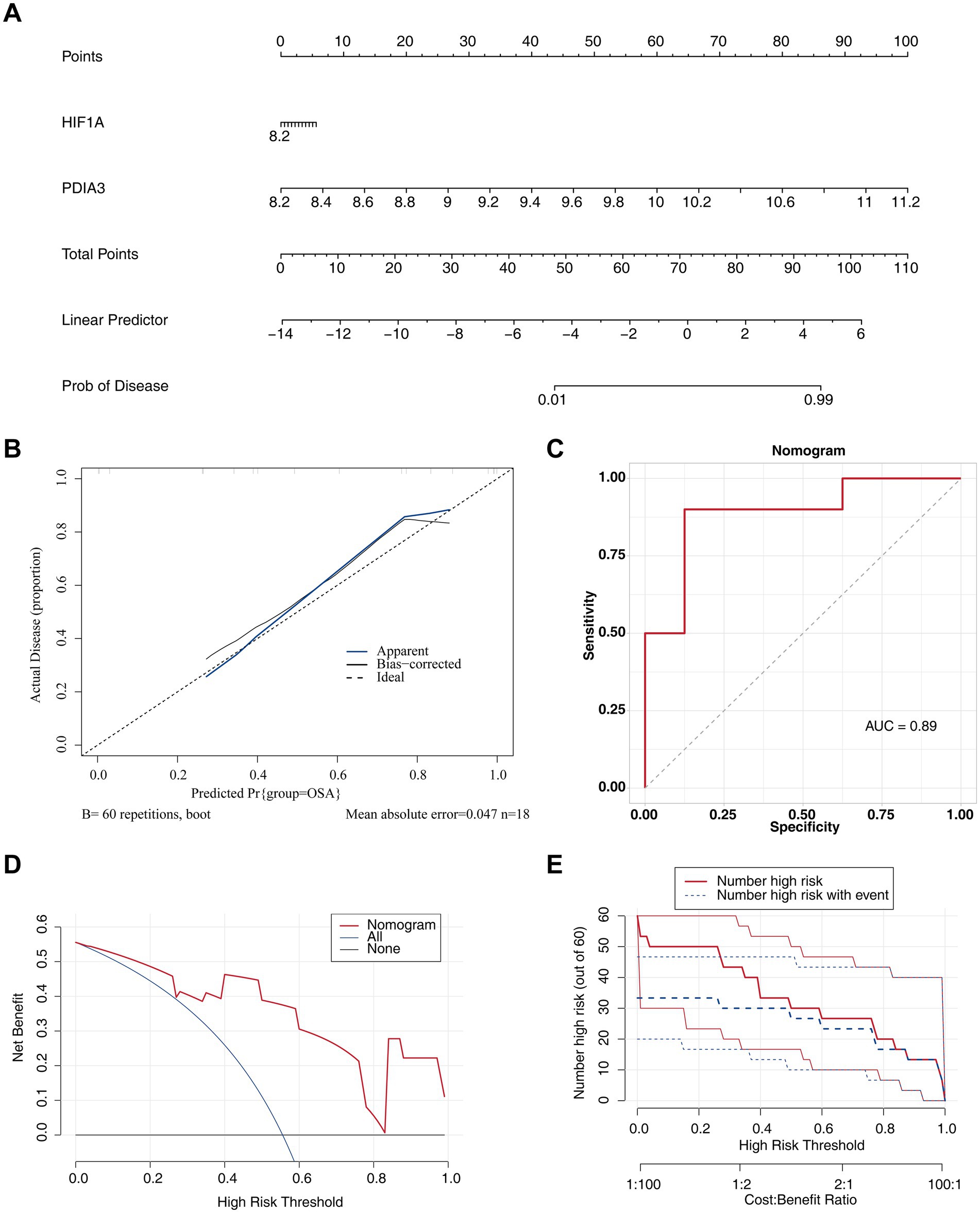 Panel A displays a nomogram with scales for HIF1A, PDIA3, total points, linear predictor, and probability of disease. Panel B is a calibration plot comparing predicted and actual disease proportions with apparent, bias-corrected, and ideal lines. Panel C shows a nomogram's ROC curve with an AUC of 0.89, indicating sensitivity and specificity. Panel D is a decision curve analysis graph showing net benefit across different high-risk thresholds. Panel E presents a clinical impact graph indicating the number at high risk and the number with events across high-risk thresholds.