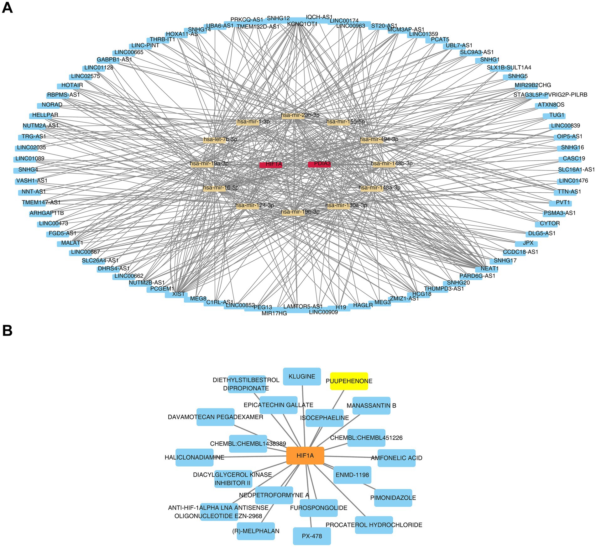 Diagram showing complex networks. Panel A features a central cluster of nodes labeled