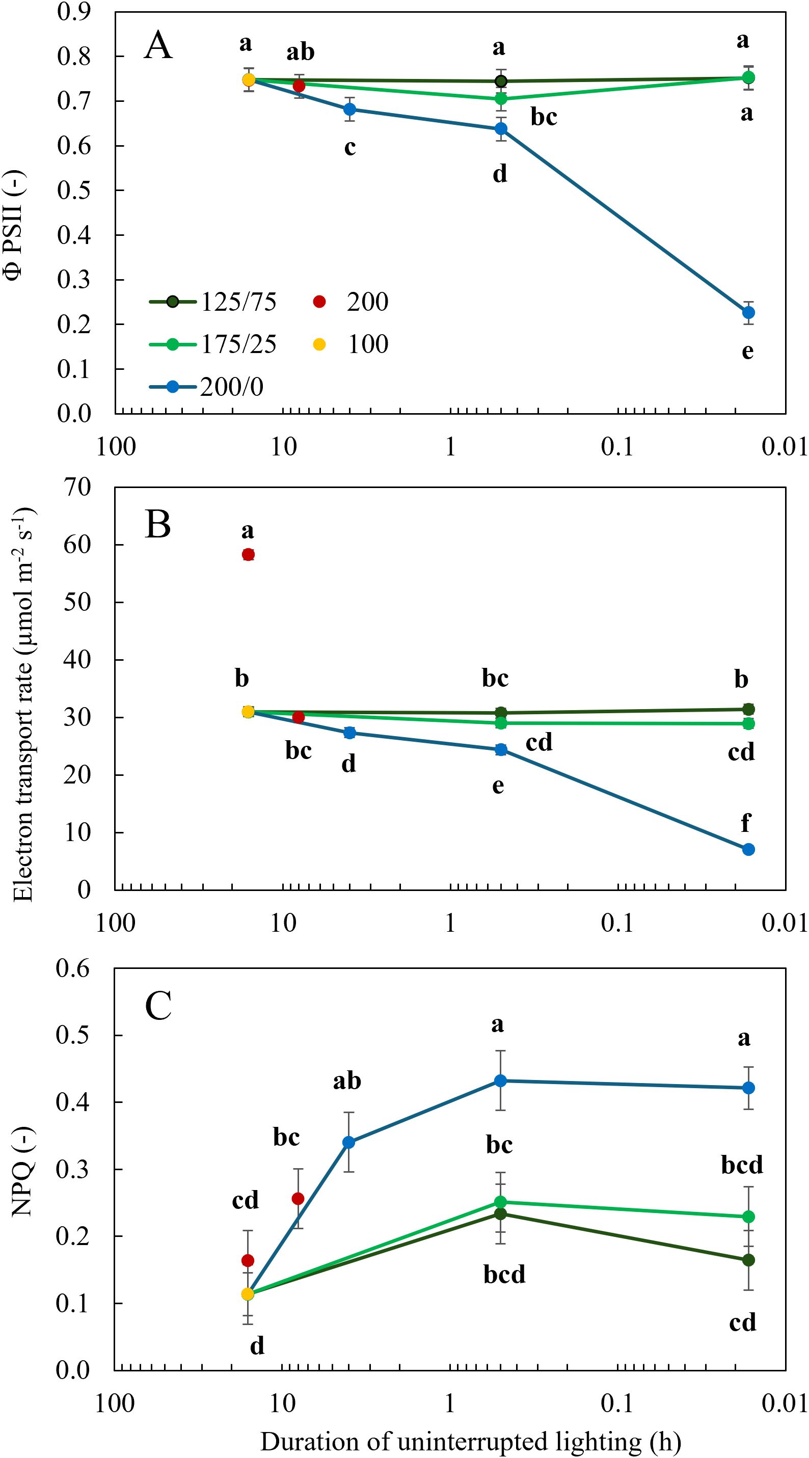 Three line graphs labeled A, B, and C display data on the effects of uninterrupted lighting duration on photosynthesis parameters for different light conditions. Graph A shows the quantum yield of PSII, Graph B shows the electron transport rate, and Graph C shows NPQ. Each graph compares multiple conditions with distinct symbols and lines. The x-axis represents the duration of lighting in hours on a logarithmic scale, and the y-axes represent the respective parameters with unit values. Error bars and letter annotations indicate statistical significance across the conditions.