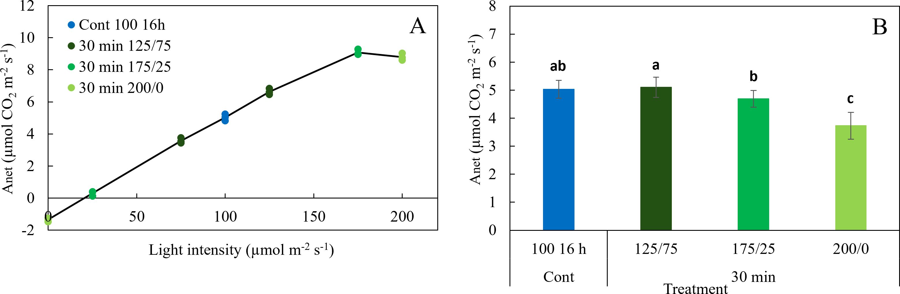 The image consists of two graphs. The left graph is a line chart showing the relationship between light intensity and net assimilation rate of CO2, with different treatments represented by colors: blue for “Cont 100 16h,” and various shades of green for “30 min 125/75,” “30 min 175/25,” and “30 min 200/0.” The right graph is a bar chart comparing CO2 assimilation rates for the same treatments, labeled with letters indicating statistical significance: “ab” for “Cont 100 16h,” “b” for “30 min 125/75,” “a” for “30 min 175/25,” and “c” for “30 min 200/0.” Bars have error bars.