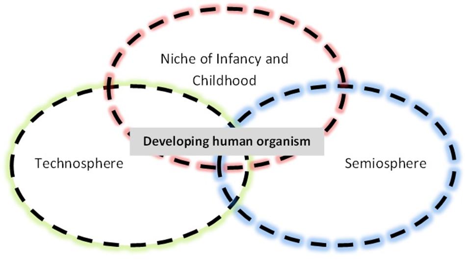 developmental niche