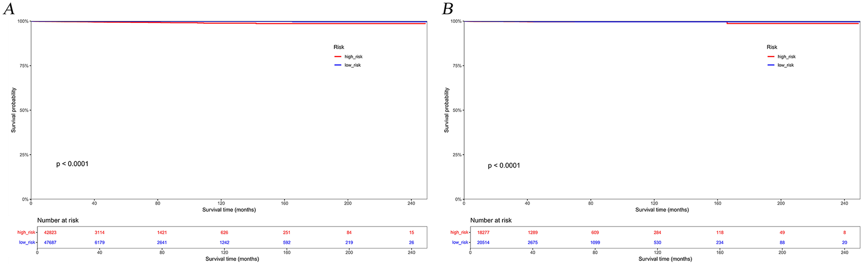 Kaplan-Meier survival curves compare high-risk and low-risk groups over time, displaying survival probability against months. Graph A and B both show high-risk lines in red and low-risk lines in blue, with statistical significance noted as p < 0.0001. Tables below each graph indicate the number at risk at various time points.