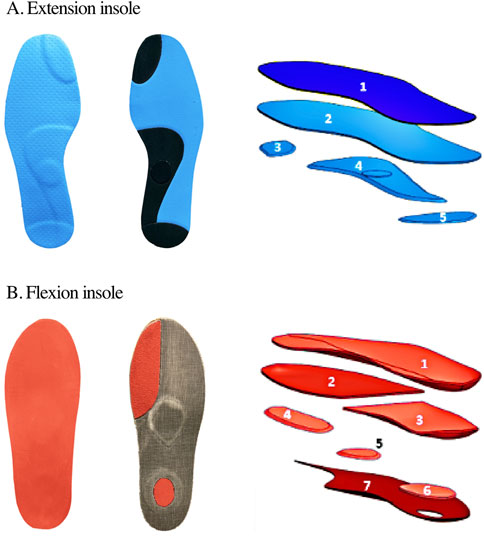 www.frontiersin.org