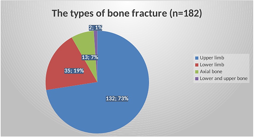 Pie chart showing types of bone fractures in a sample of 182. Upper limb fractures: 73% (132), lower limb: 19% (35), axial bone: 7% (13), lower and upper bone: 1% (2).