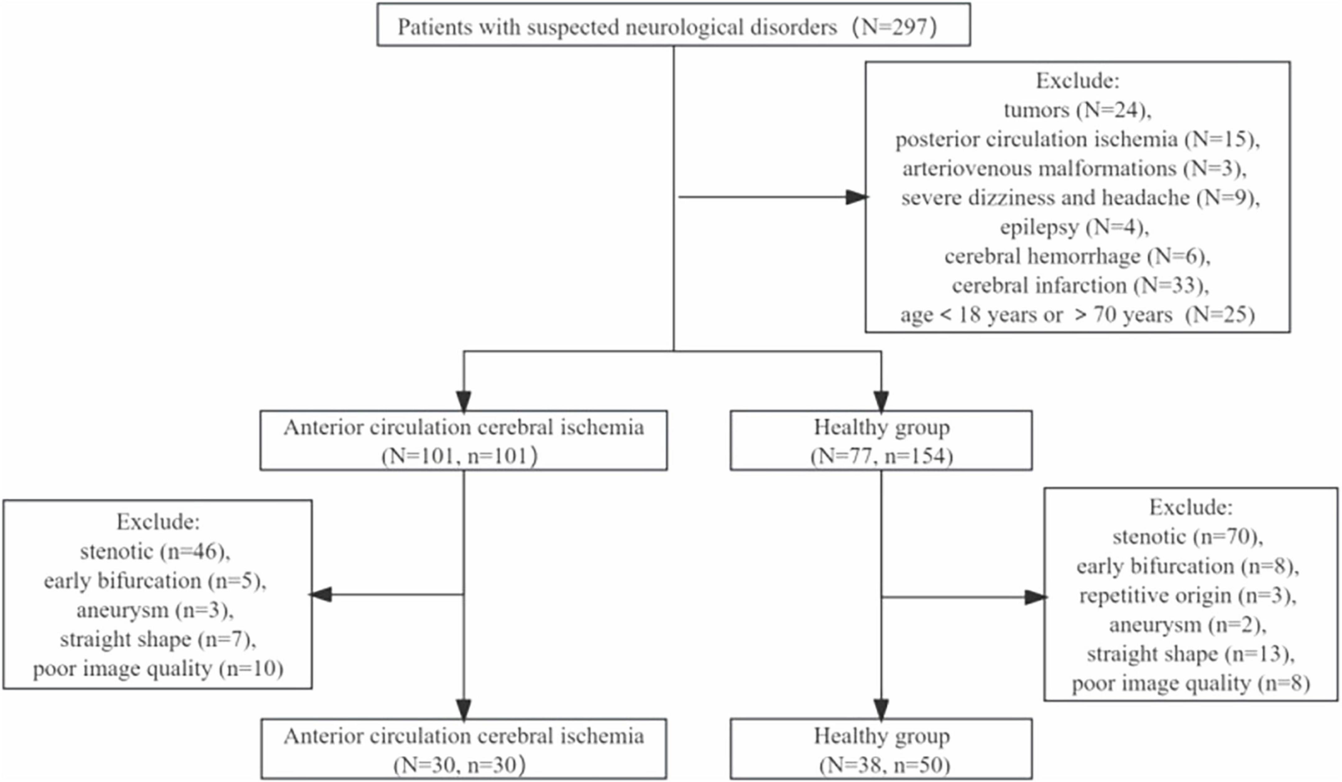 Flowchart showing the selection process for patients with suspected neurological disorders (N=297). Patients are divided into two groups: anterior circulation cerebral ischemia (N = 101) and a healthy group (N = 77) after initial exclusions. Further exclusions are applied for stenotic cases, early bifurcation, aneurysms, straight shapes, and poor image quality. Final groups include anterior circulation cerebral ischemia (N = 30) and healthy group (N = 38).