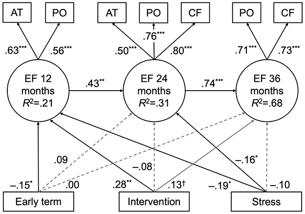 Structural equation model diagram illustrating relationships between variables across 12, 24, and 36 months. Circles labeled EF represent different time frames with R-squared values (.21, .31, .68) indicating explained variance. Rectangles labeled AT, PO, CF link to circles with path coefficients shown. Variables include “Early term,” “Intervention,” and “Stress” with various path strengths and statistical significance marked by asterisks.