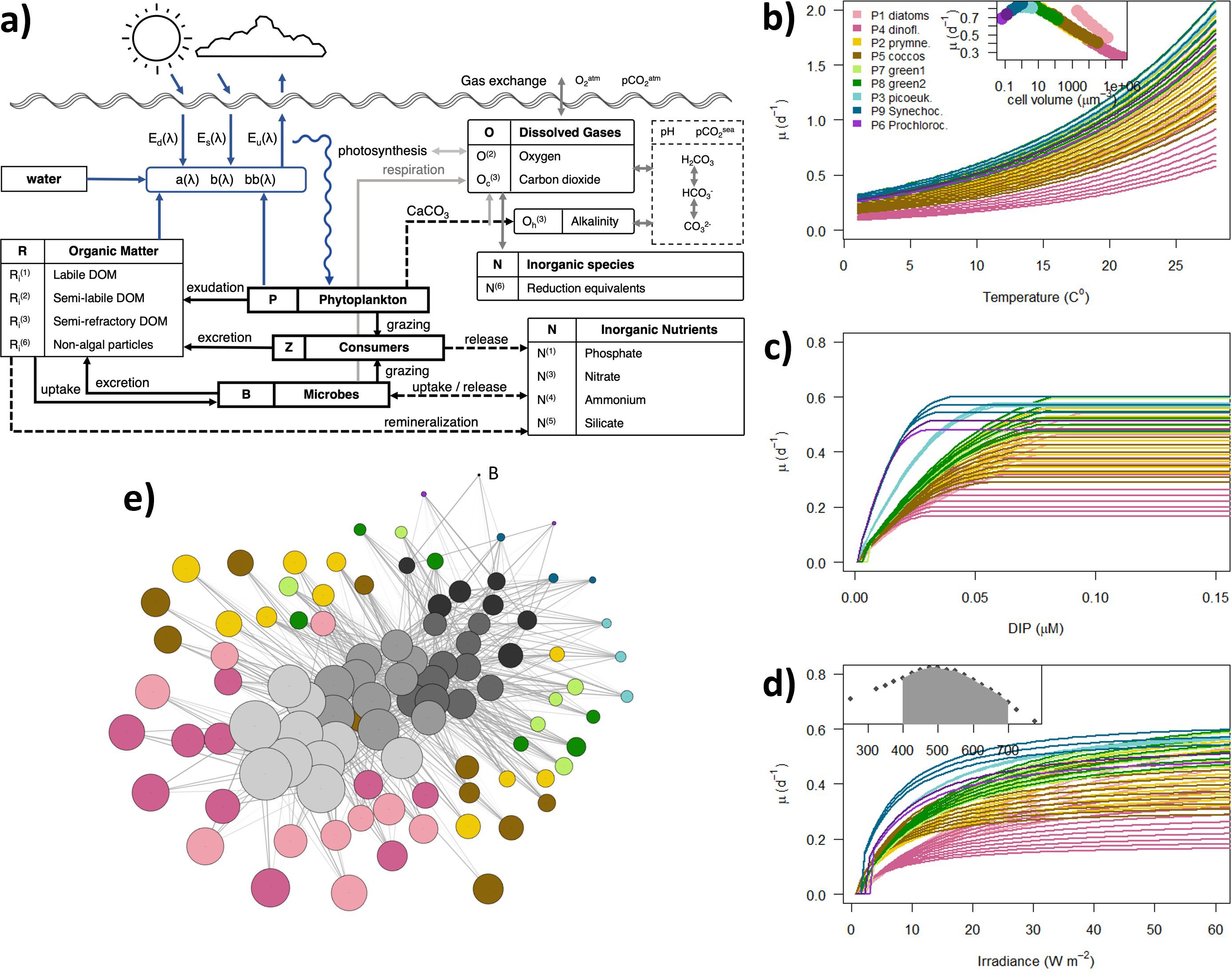 Panel (a) illustrates a conceptual framework of aquatic carbon cycling, highlighting interactions among organic matter, phytoplankton, consumers, and microbes, along with gas exchange and nutrient dynamics. Panel (b) presents a graph depicting the relationship between growth rates of various phytoplankton species and temperature, with an inset showing cell volume comparisons. Panel (c) exhibits the response of phytoplankton growth rates to DIP concentrations, while panel (d) details the effect of irradiance on growth rates, including a supplemental graph that shows the spectral composition of incoming irradiance. Panel (e) features a network visualization showing species interactions, represented by nodes of varying sizes and colors, and connections indicating relationships among them.
