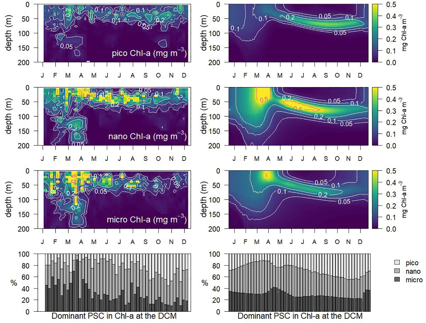 Panels (A), (B), and (C) display vertical profiles of chlorophyll-a (Chl-a) concentrations (mg m-Panels (a), (b), and (c) display vertical profiles of chlorophyll-a (Chl-a) concentrations (mg m⁻³) categorized as pico, nano, and micro size fractions respectively, across depths (0 to 200 m) and months (January to December). Contour lines indicate variations in Chl-a concentrations, with warmer colors representing higher concentrations. Panel (d) shows the temporal dominance of phytoplankton size classes (PSC) at the deep chlorophyll maximum (DCM), with percentages indicated for pico, nano, and micro fractions across months. Data suggest significant seasonal variations in phytoplankton community structure related to Chl-a concentrations.
