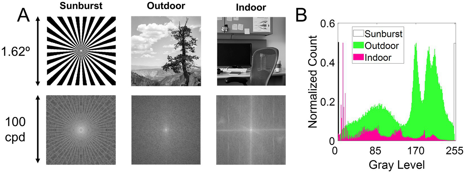 Panel A shows three images, each with an original image at the top and its frequency representation below: a sunburst pattern, an outdoor landscape with a tree, and an indoor office scene. Panel B is a graph displaying normalized count against gray level, with separate color-coded histograms representing sunburst, outdoor, and indoor images.