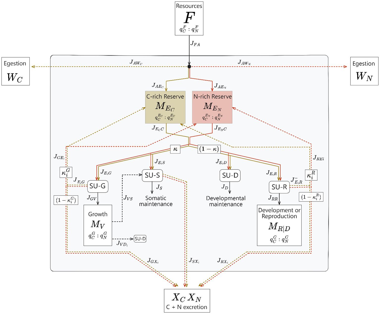 The diagram illustrates a metabolic budget model divided into two main resource reserves: C-rich (labeled as (C)) and N-rich (labeled as (N)). Arrows indicate energy and resource flows, including egestion (W_C and W_N) and functional outputs (F). The processes include somatic maintenance (SU-S), growth (SU-G), developmental maintenance (SU-D), and reproduction (SU-R), with variables representing resource allocations and efficiencies. Dashed connections highlight optional pathways, emphasizing the intricate balance between resource utilization and maintenance functions within the system.