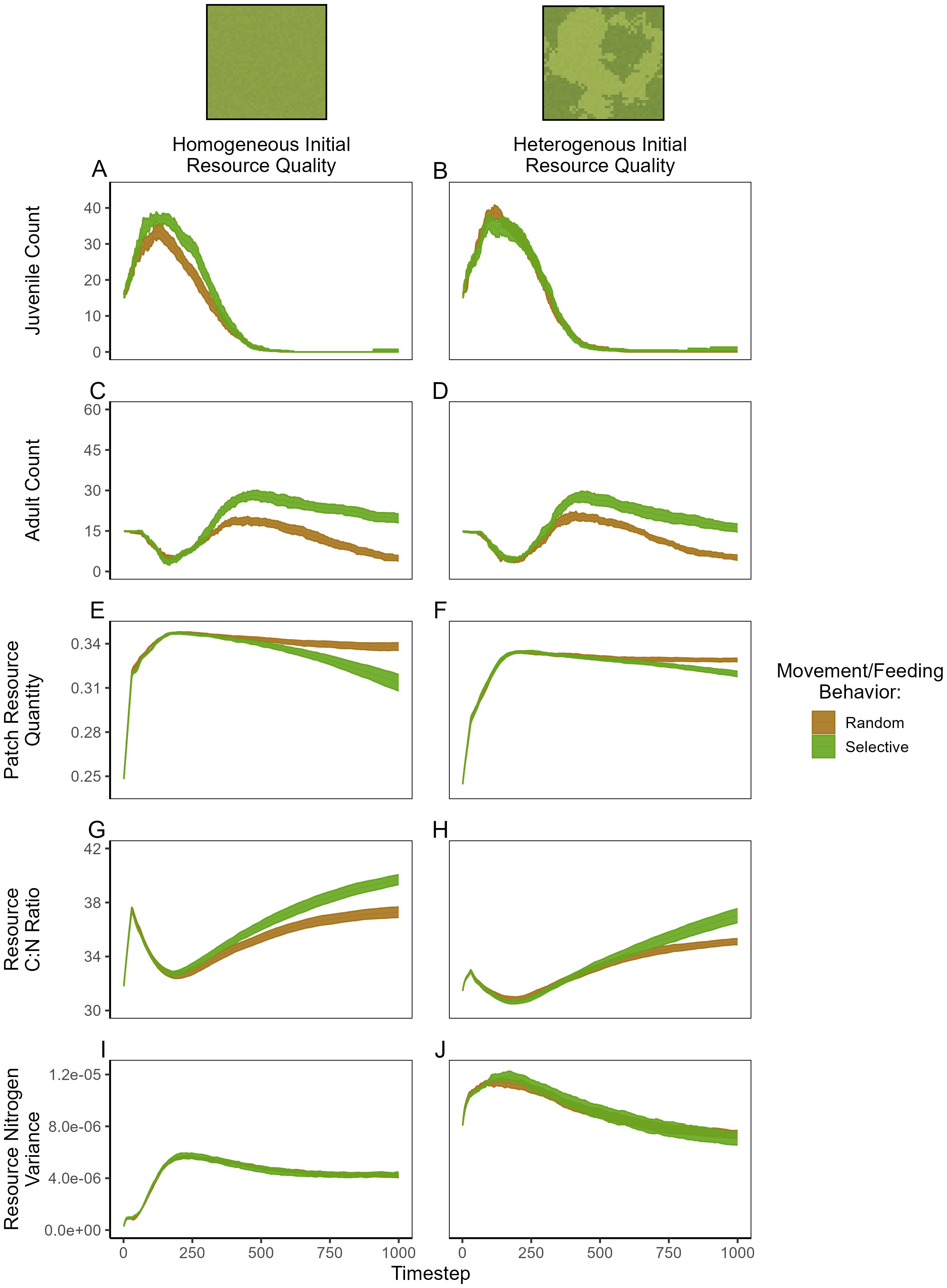 Panels (A) and (B) illustrate the effects of initial resource quality—homogeneous versus heterogeneous—on juvenile and adult counts over time, with both behaviors (selective in green, random in brown) shown. Panel (C) depicts changes in patch resource quantity, demonstrating a distinct trajectory based on resource quality. Panel (D) presents the resource C:N ratio, indicating variability in response to feeding behavior over the time series. Panel (E) shows resource nitrogen variance, suggesting stability in nitrogen levels irrespective of behavioral type across time steps.