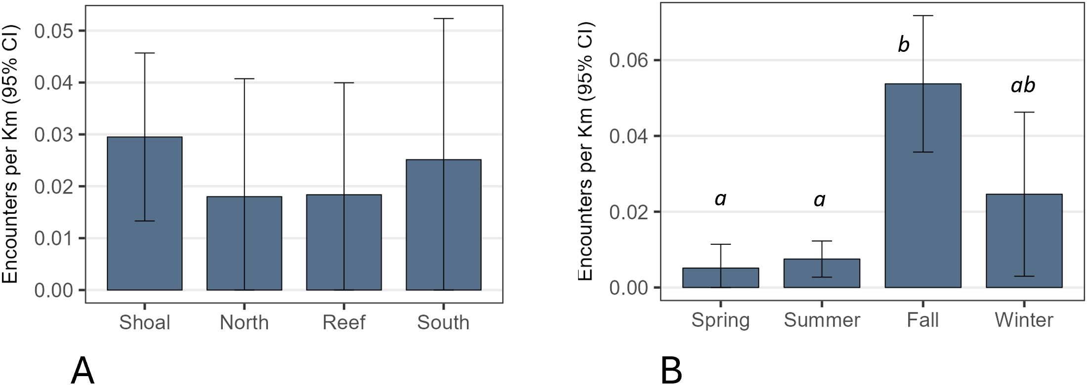 Two bar charts labeled A and B display encounters per kilometer with 95% confidence intervals. Chart A compares locations: Shoal, North, Reef, South; encounters are highest in Shoal. Chart B compares seasons: Spring, Summer, Fall, Winter; encounters peak in Fall, with significant differences marked by letters.