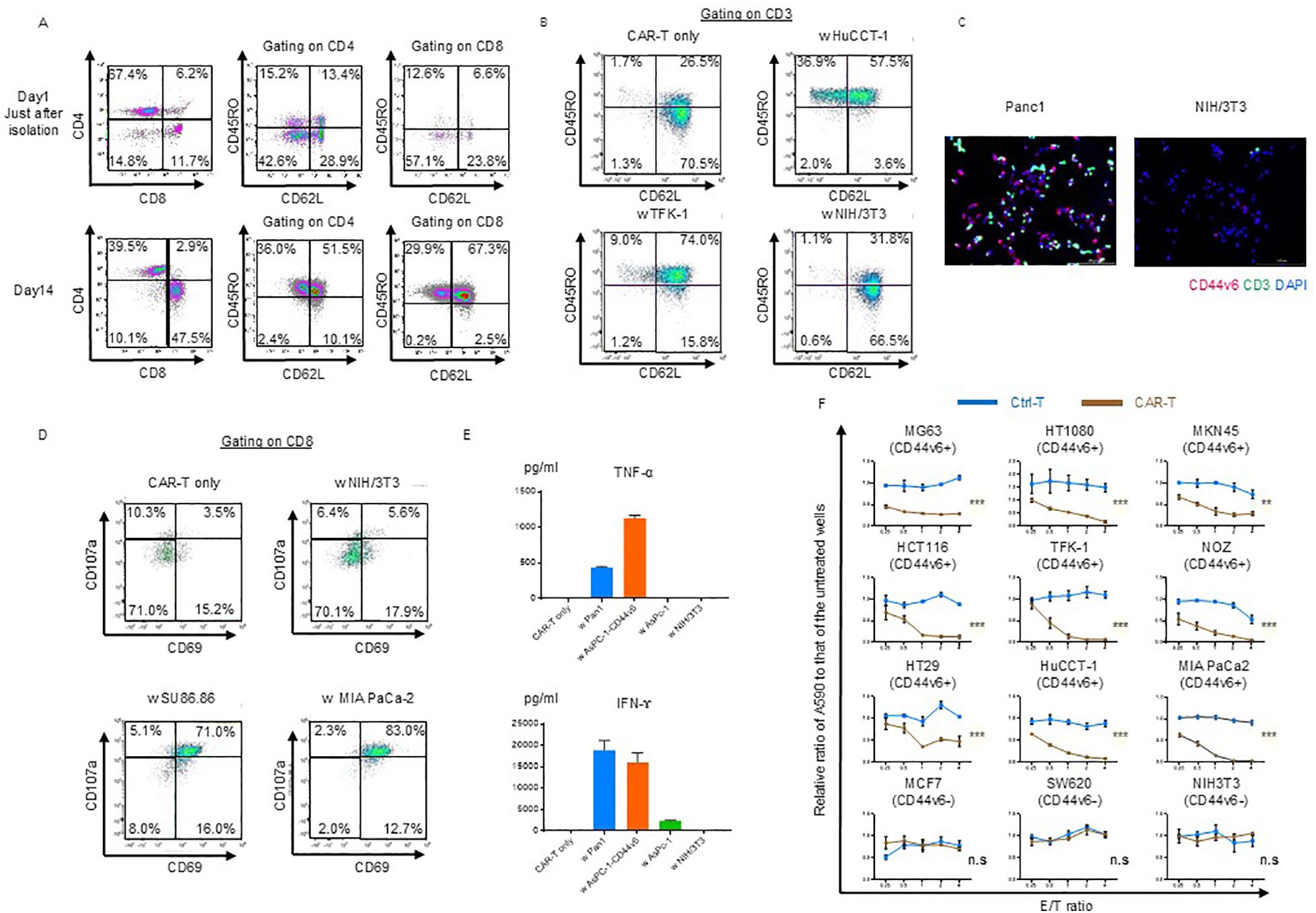 Flow cytometry and microscopy data depict various cellular gating strategies and immune responses. Panel A shows CD4 and CD8 cell gating with CD45RO and CD62L markers before and after isolation. Panel B displays CAR-T cell gating on CD3 with different target cells. Panel C features immunofluorescence microscopy of Panc1 and NIH/3T3 cells stained for CD44v6, CD3, and DAPI. Panel D presents CD8 cell gating with CD69 and CD107a markers using different cell lines. Panel E shows bar graphs for TNF-alpha and IFN-gamma production. Panel F includes line graphs showing cell viability across various cell lines with Ctrl-T and CAR-T treatments.