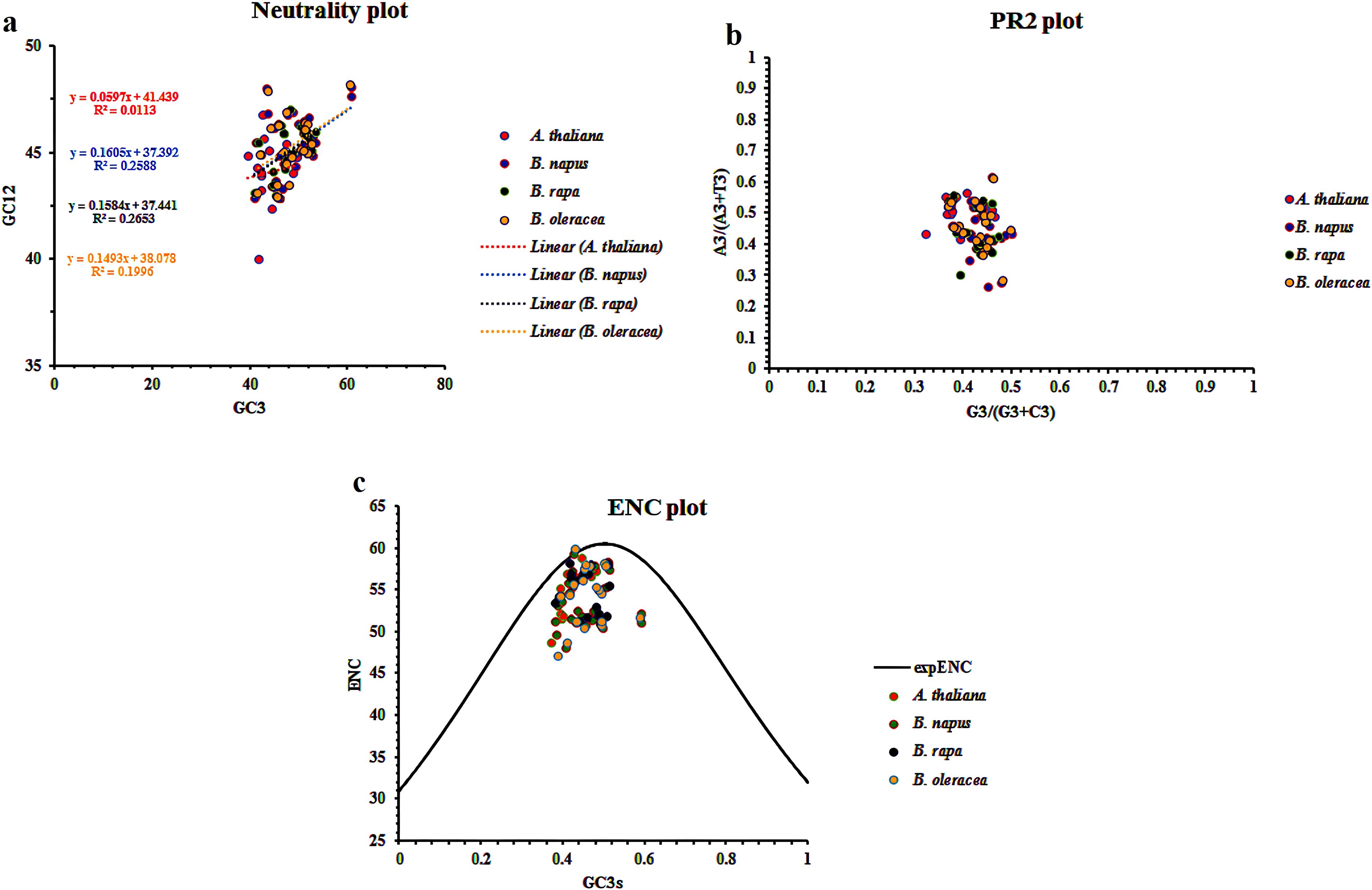 Three panels show genetic data analysis plots for four plant species. Panel (a) is a neutrality plot with GC12 vs. GC3, showing linear regression lines for each species. Panel (b) is a PR2 plot, displaying A3/(A3+T3) vs. G3/(G3+C3), with clustered points. Panel (c) is an ENC plot with ENC vs. GC3s, showing a curve labeled expENC. Each specimen is color-coded and labeled for easy identification.
