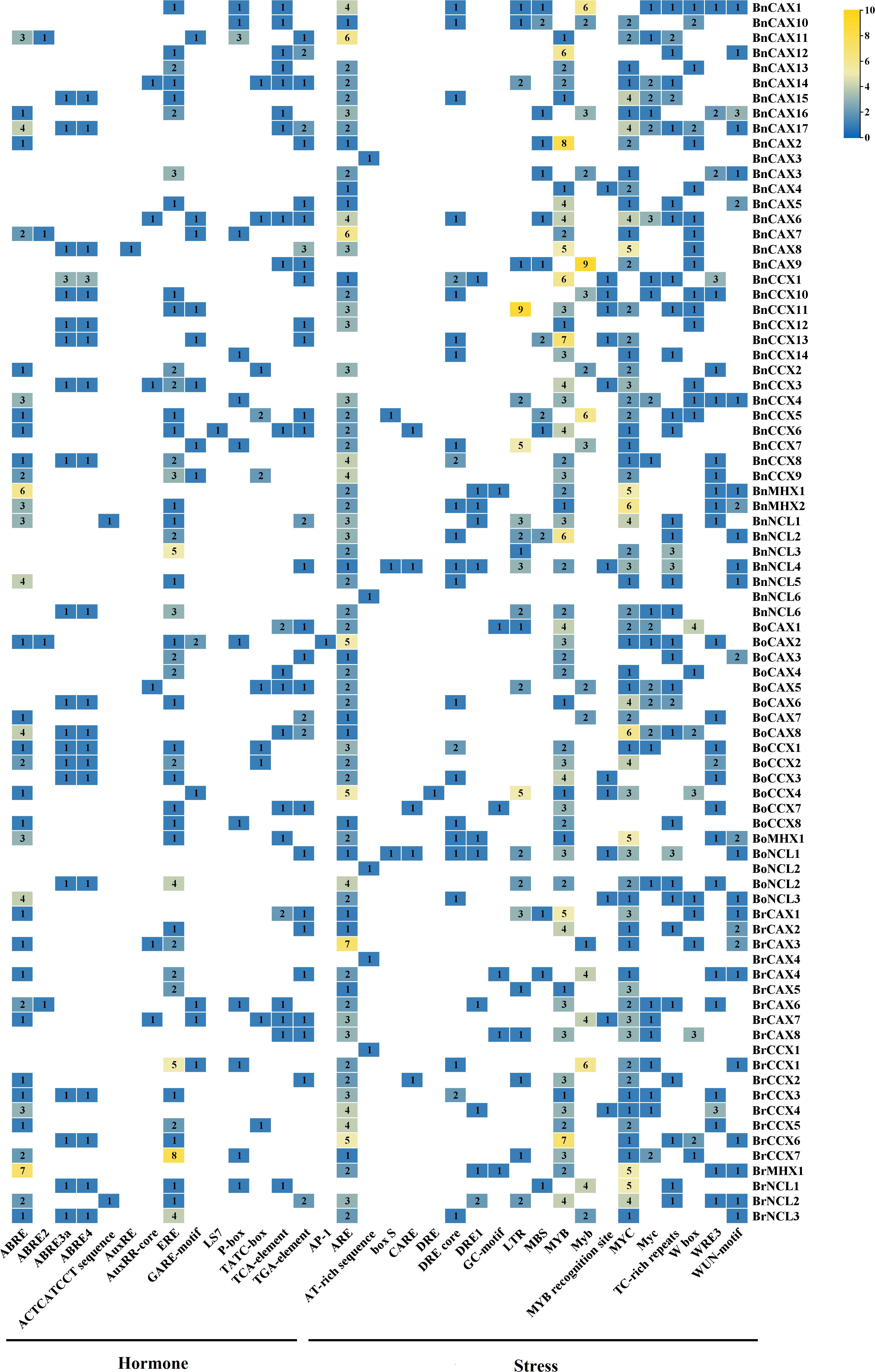 Heatmap illustrating the expression of various genes under hormone and stress conditions. Gene names are listed on the right, and expression levels are indicated by shades of blue to yellow, with numerical values. Hormone conditions are on the left, stress conditions on the right, separated by a dividing line.