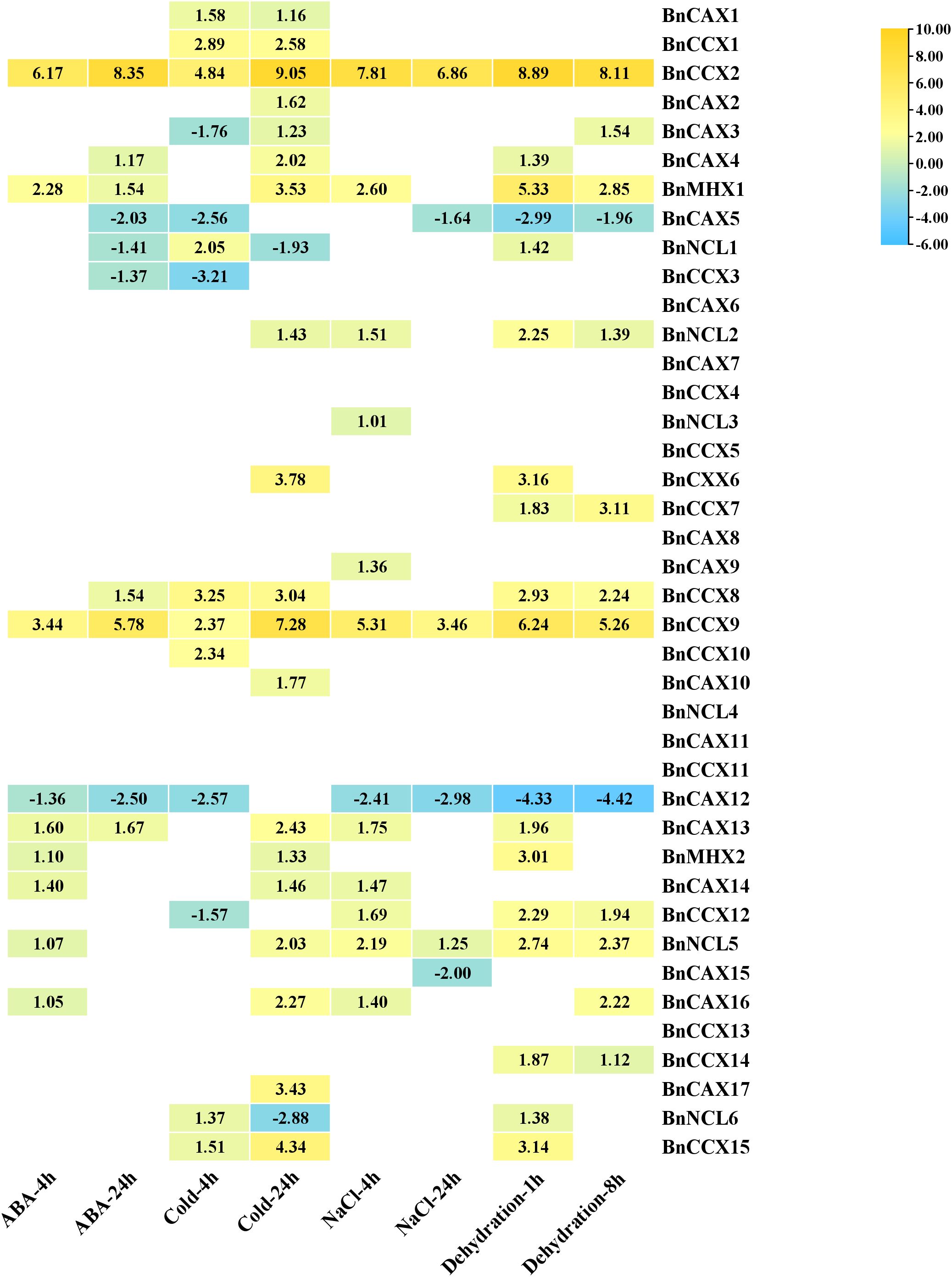 Heatmap illustrating gene expression levels of various genes under different conditions such as ABA, cold, NaCl, and dehydration, measured at different time intervals. The expression values range from negative to positive, represented by a gradient from blue to yellow. Each gene's expression is listed alongside its name on the right.