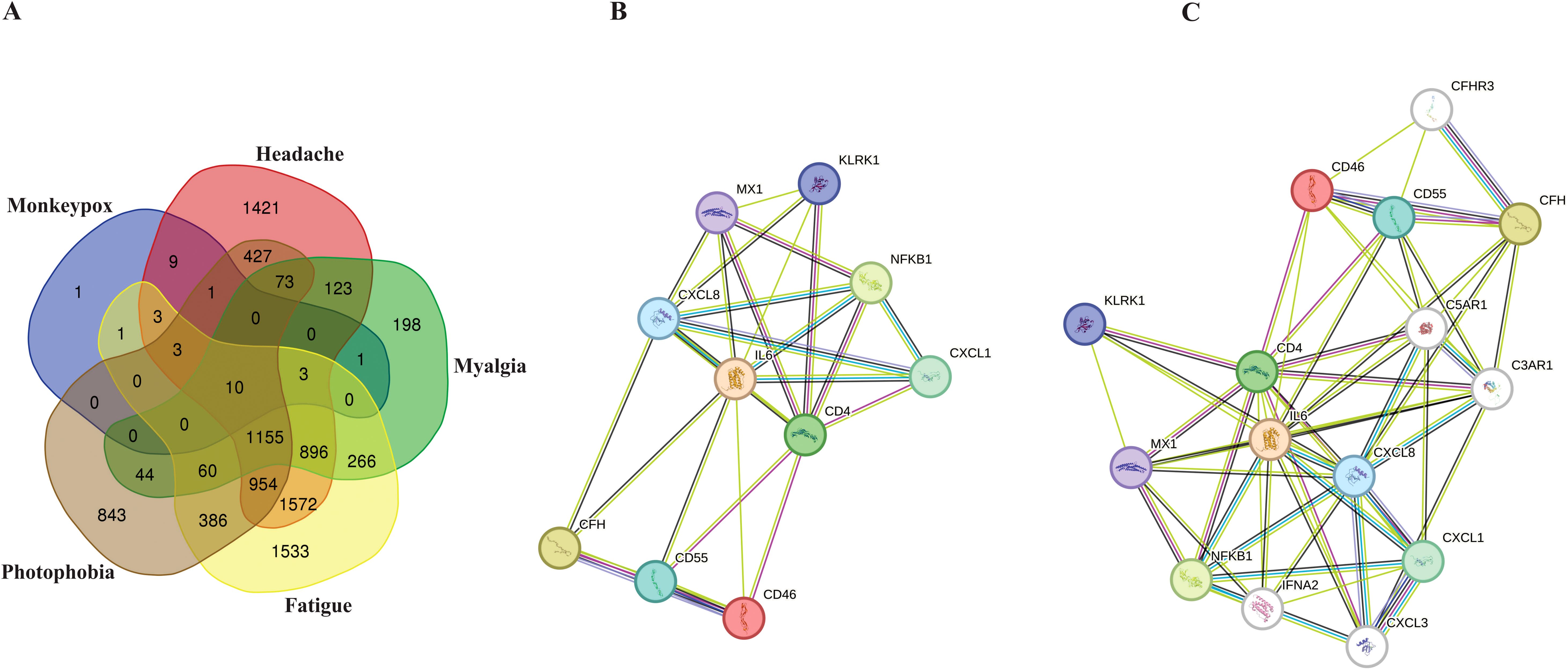 A three-part figure depicting A) a Venn diagram with overlapping areas for Monkeypox, Headache, Myalgia, Photophobia, and Fatigue, showing intersections and numbers of occurrences; B and C) two network diagrams showing protein interactions with nodes labeled by proteins such as KLRK1, MX1, and IL6, connected by lines of different colors, illustrating complex interactions between proteins.