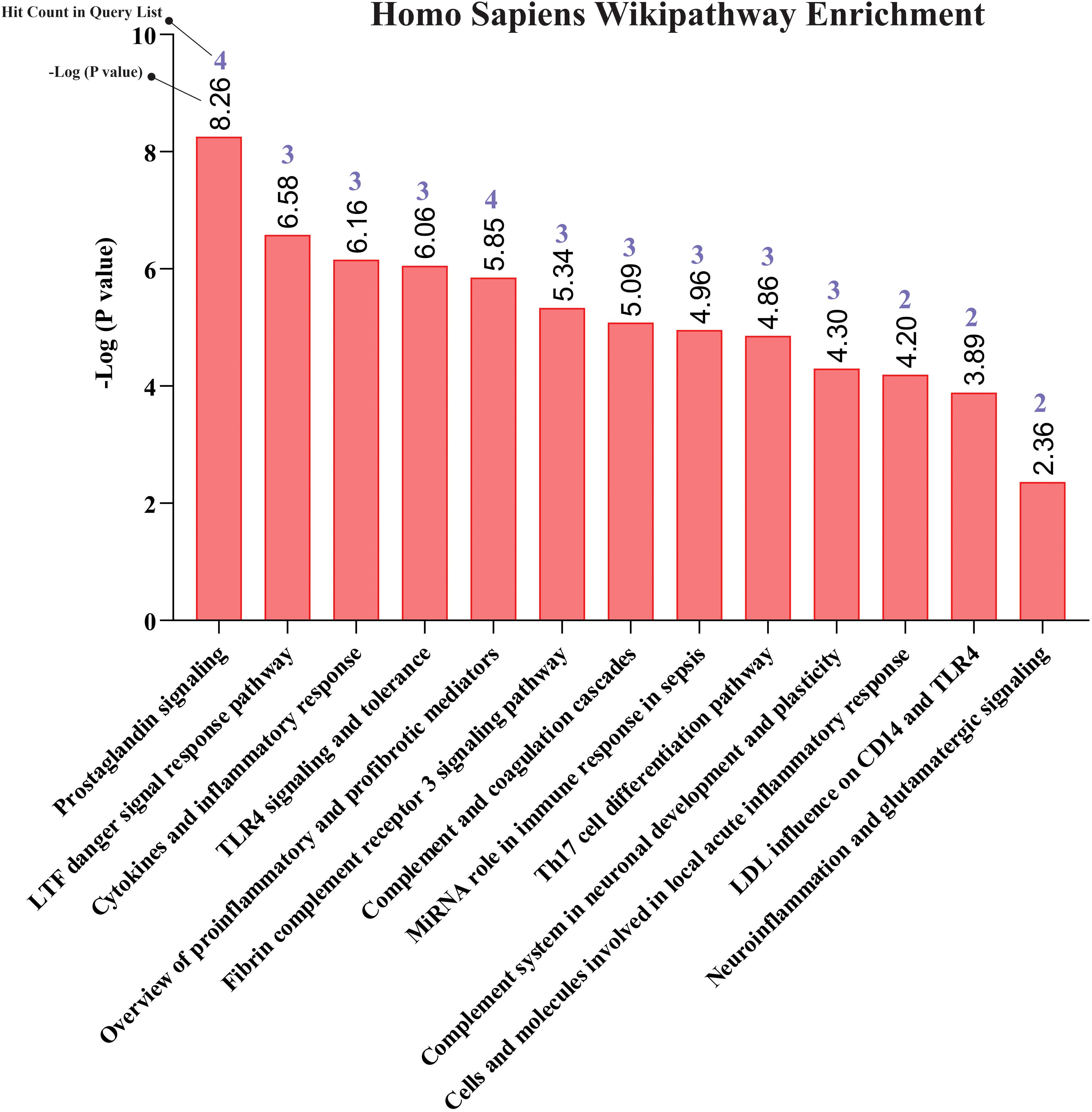 Bar chart titled “Homo Sapiens Wikipathway Enrichment” displaying various biological pathways on the x-axis with corresponding negative log p-values on the y-axis. Prostaglandin signaling has the highest p-value at 8.26. Other pathways include L1TF danger signal response and Cytokines with values decreasing to Neuroinflammation and glutamatergic signaling at 2.36. Each bar includes a hit count in the query list.