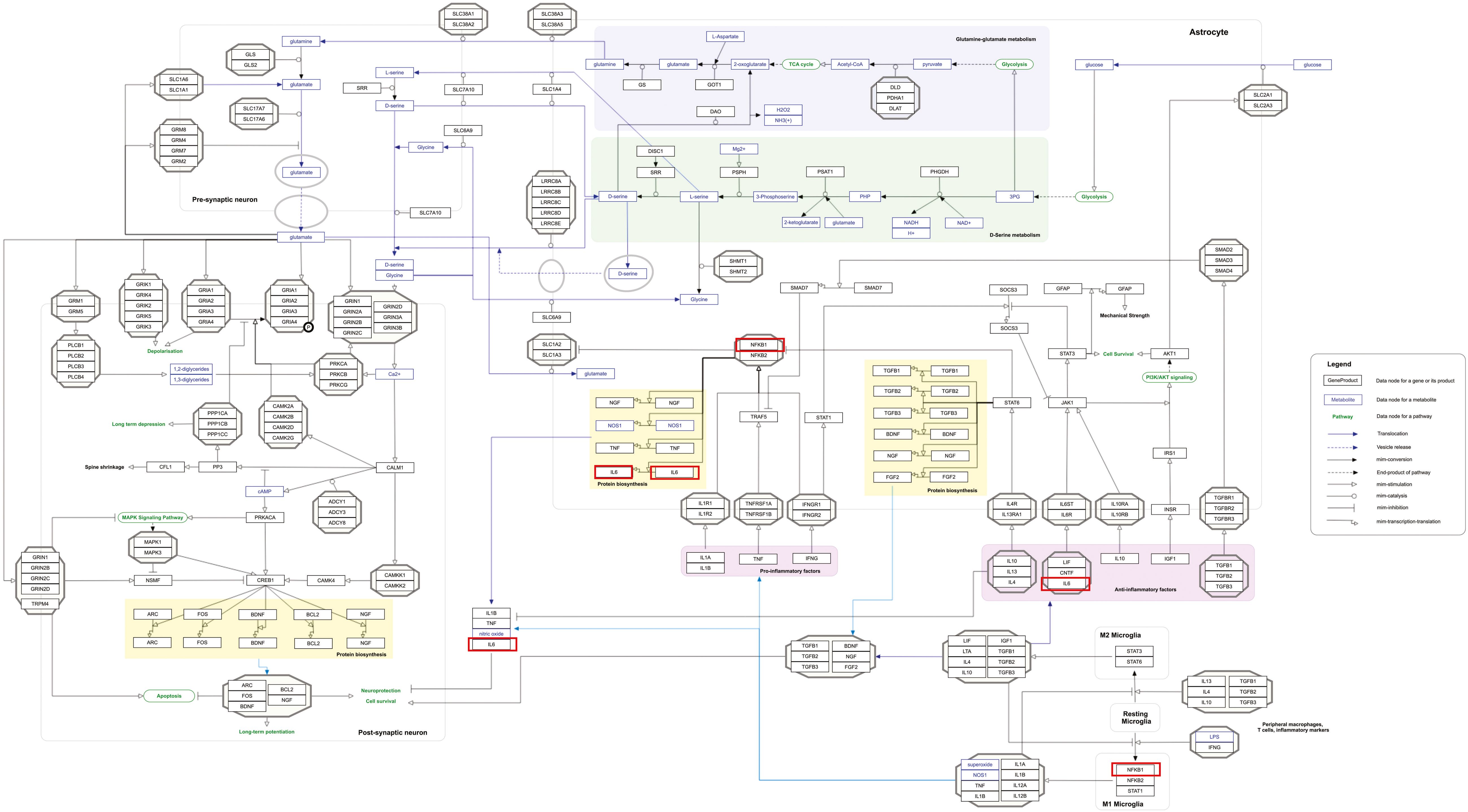 Complex biochemical pathway diagram illustrating interactions among various proteins, metabolites, and cellular processes in neurons and astrocytes. Key sections include glutamate-glutamine metabolism, D-serine metabolism, and signaling pathways. The diagram includes labeled nodes for genes, metabolites, and pathways, with directional arrows indicating interactions. A legend explains the symbols used for genes, proteins, metabolites, and pathways.