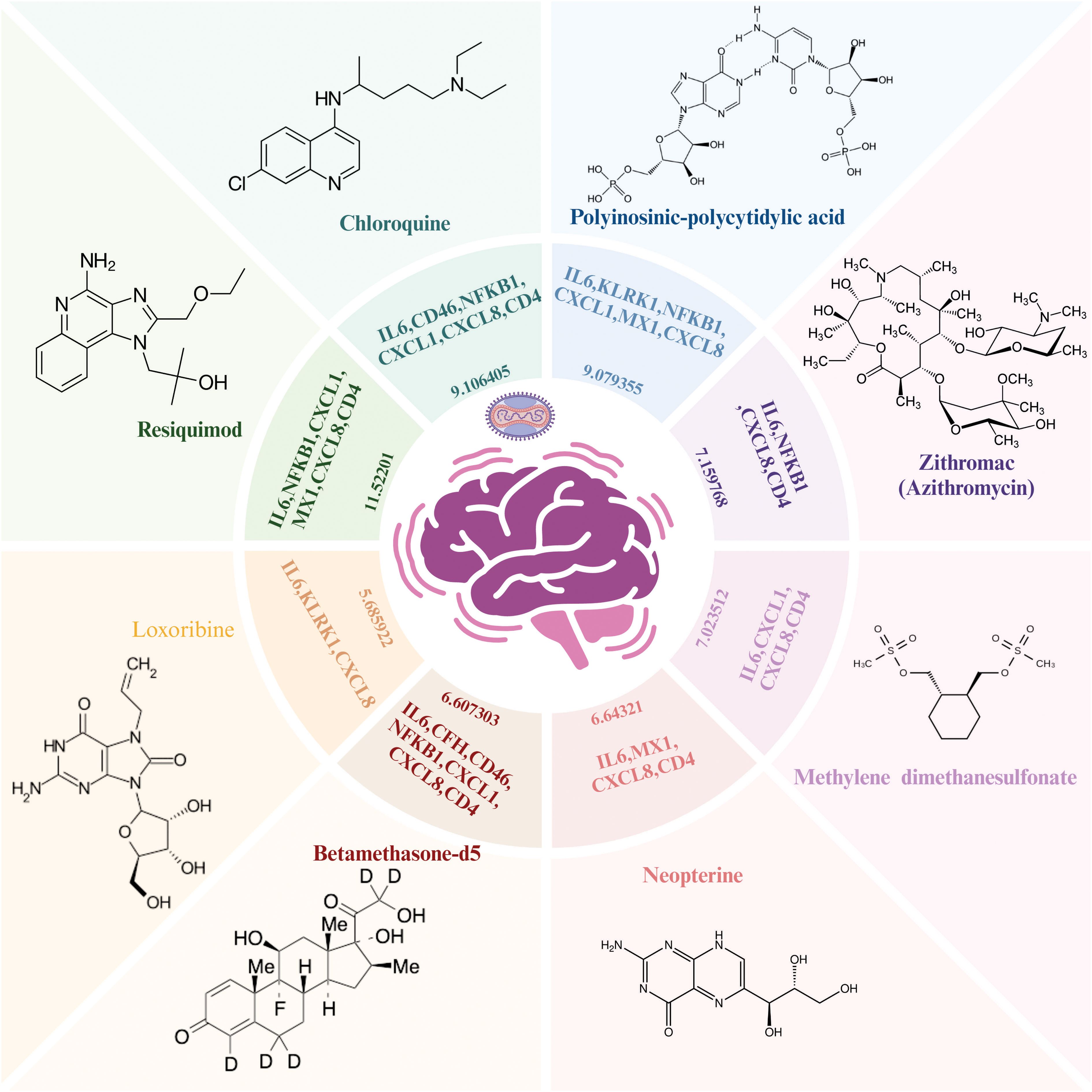 Illustration of various chemical structures displayed around a central image of a brain. Each segment contains a different molecule: Chloroquine, Polyinosinic-polycytidylic acid, Zithromax (Azithromycin), Methylene dimethanesulfonate, Neopterine, Betamethasone-d5, Loxoribine, and Resiquimod. Associated biological pathways and numerical values are listed alongside each structure, denoting potential interactions or effects on neural pathways.