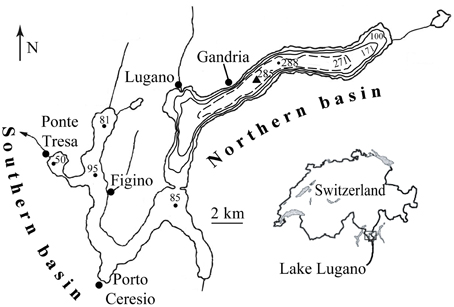 www.frontiersin.org