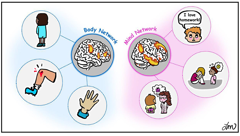 Figure 2 - The body and mind brain networks.