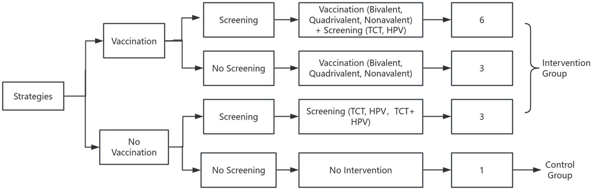 Flowchart illustrating various strategies for intervention and control groups. Vaccination is divided into screening and no screening, leading to specific interventions involving different vaccination types and tests. No vaccination leads to screening or no intervention, with outcomes of six, three, three, and one assigned to various paths, illustrating different group allocations.